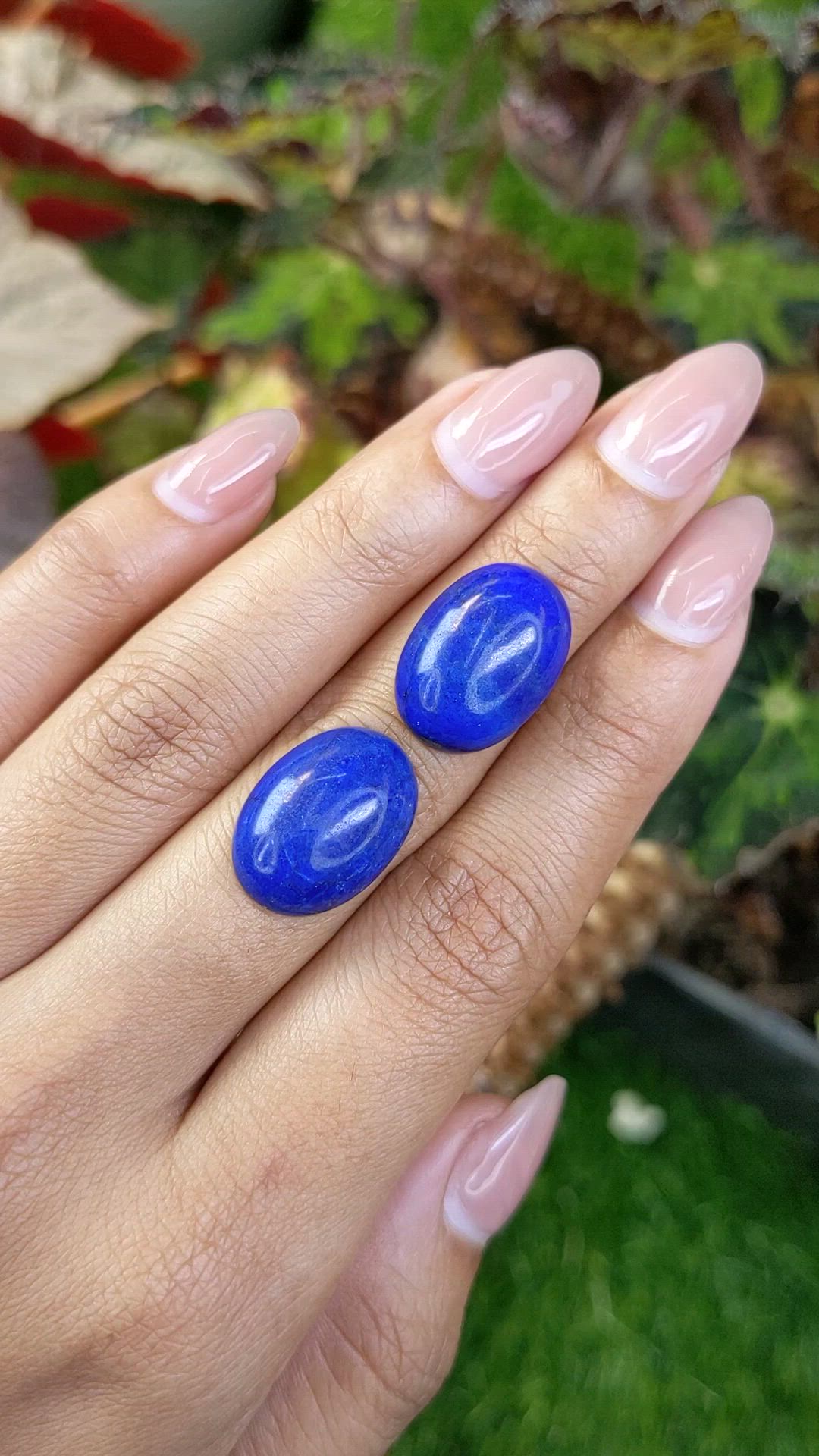 21.23 Ct.Tw.Total Carat Weight Cabochon Lapis Pair from Afghanistan Size Video
