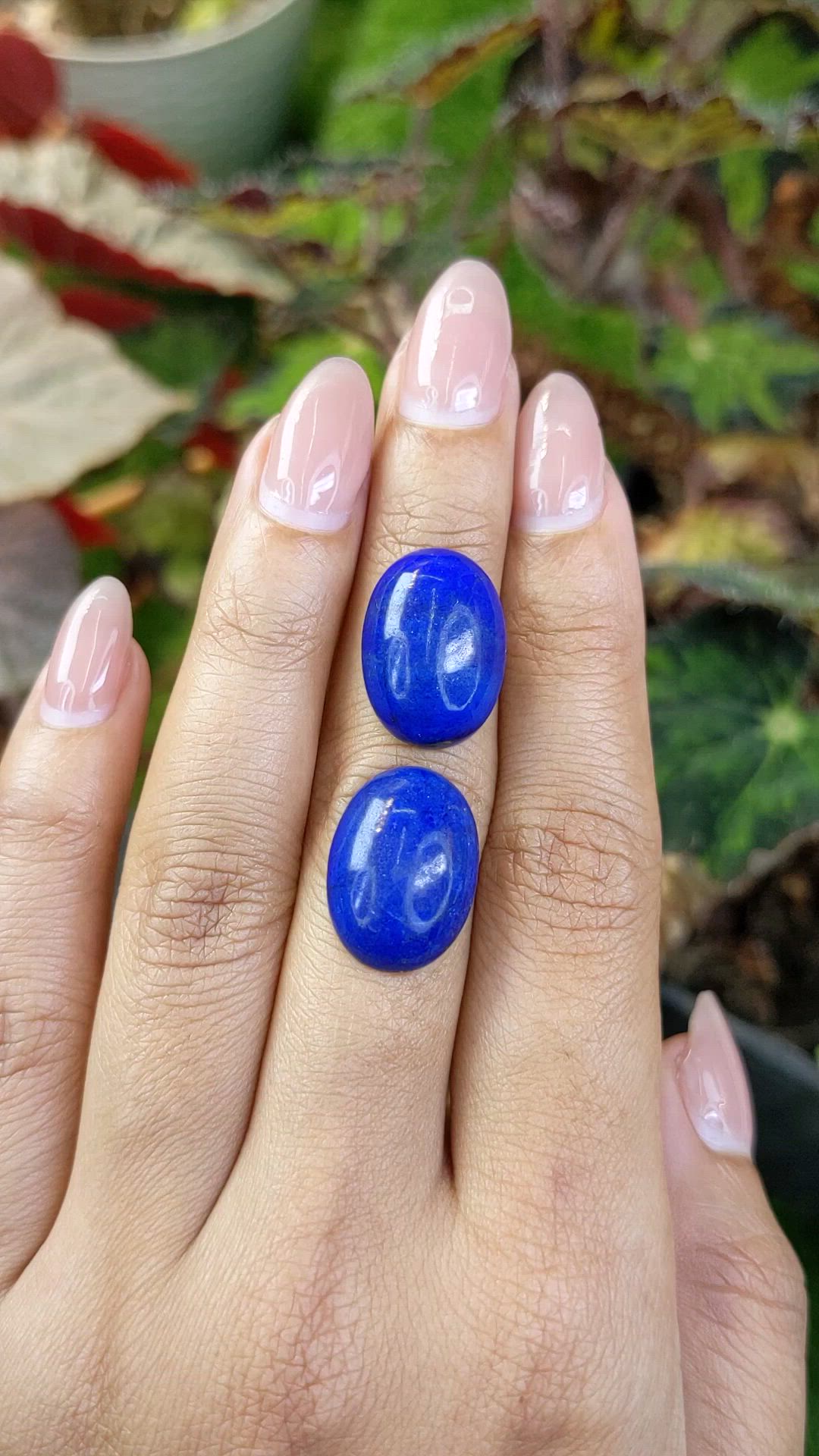 21.23 Ct.Tw.Total Carat Weight Cabochon Lapis Pair from Afghanistan Size Video
