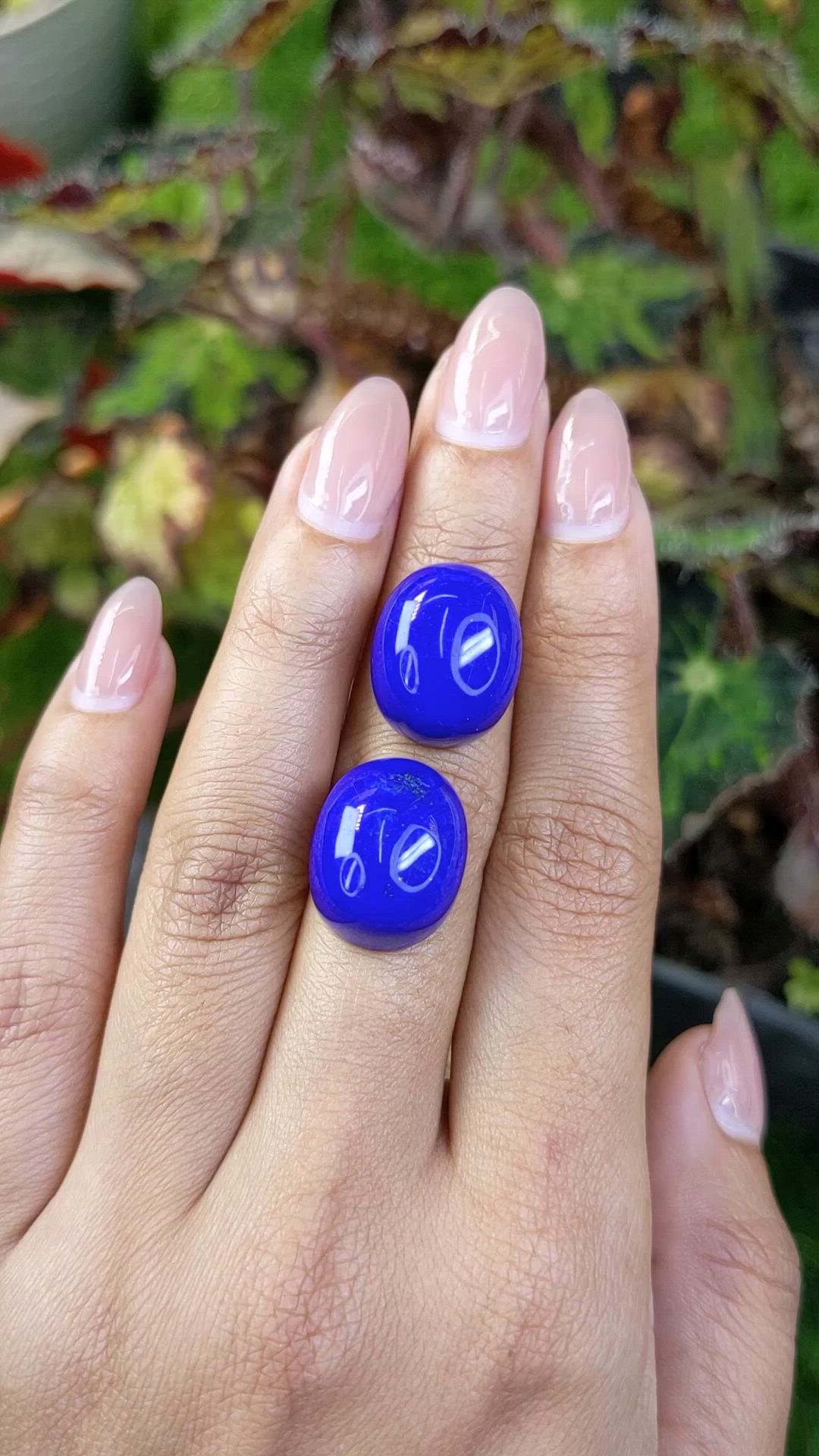 43.45&nbsp;Ct.Tw.Total Carat Weight Cabochon Lapis Pair from Afghanistan Size Video