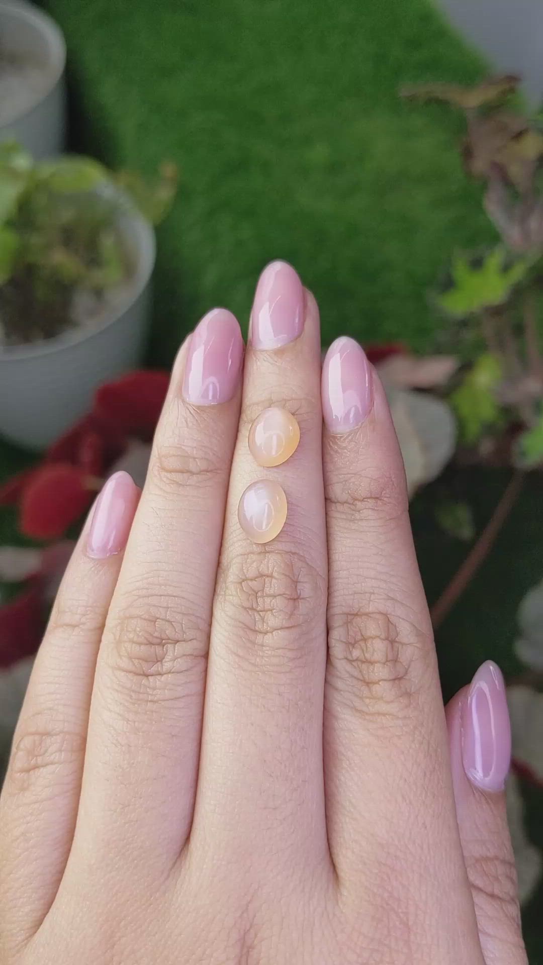 4.60 Ct.Tw.Total Carat Weight Peach Cabochon Moonstone Pair from Ceylon (Sri Lanka) Size Video