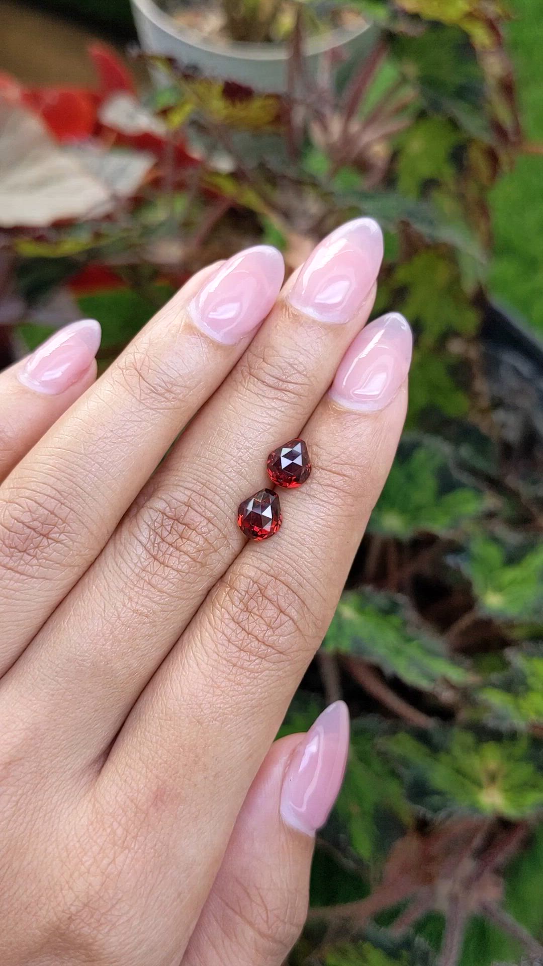 2.94&nbsp;Ct.Tw.Total Carat Weight Red Almandine Garnet Pair from Ceylon (Sri Lanka) Size Video
