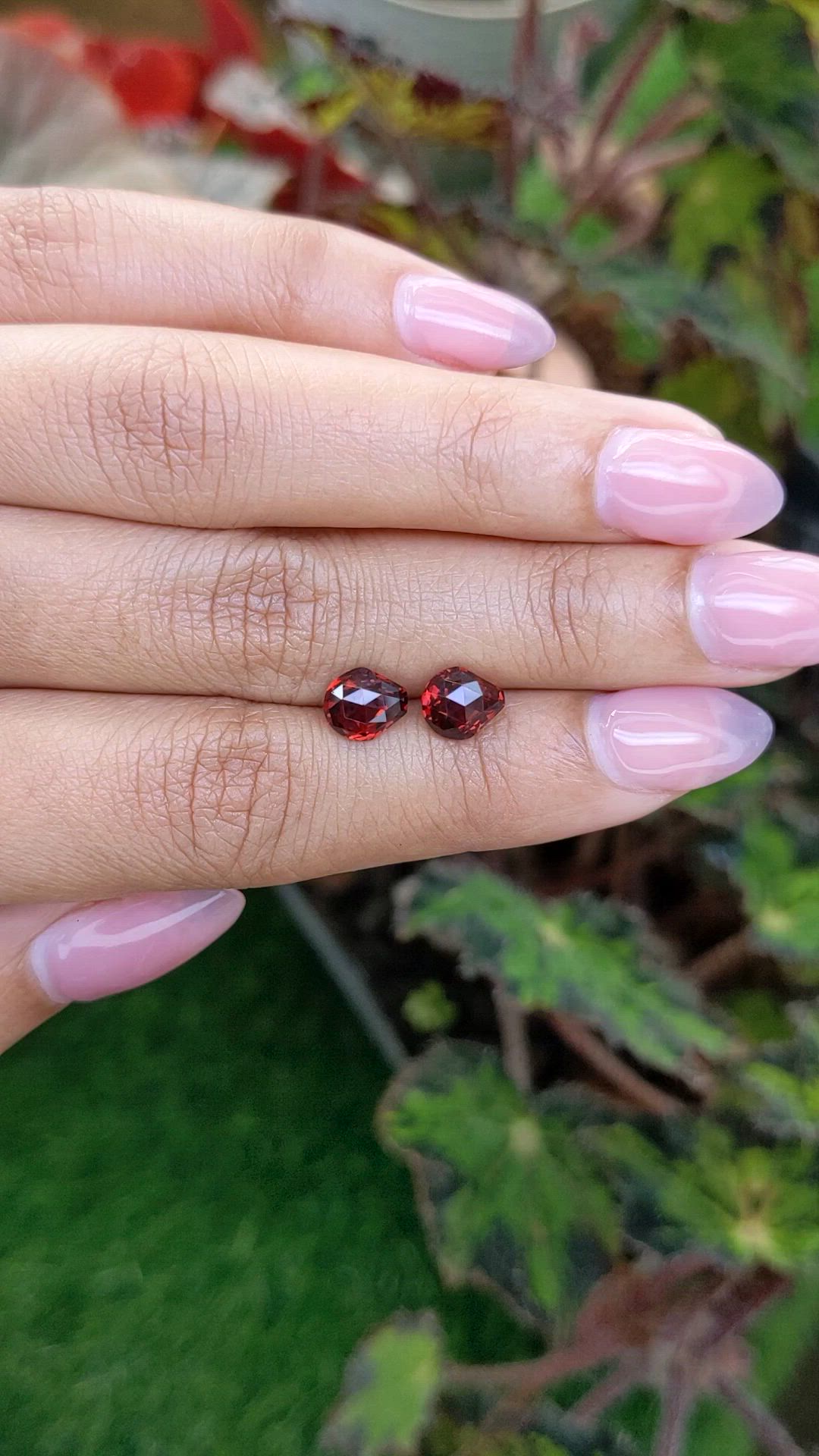 2.94&nbsp;Ct.Tw.Total Carat Weight Red Almandine Garnet Pair from Ceylon (Sri Lanka) Size Video