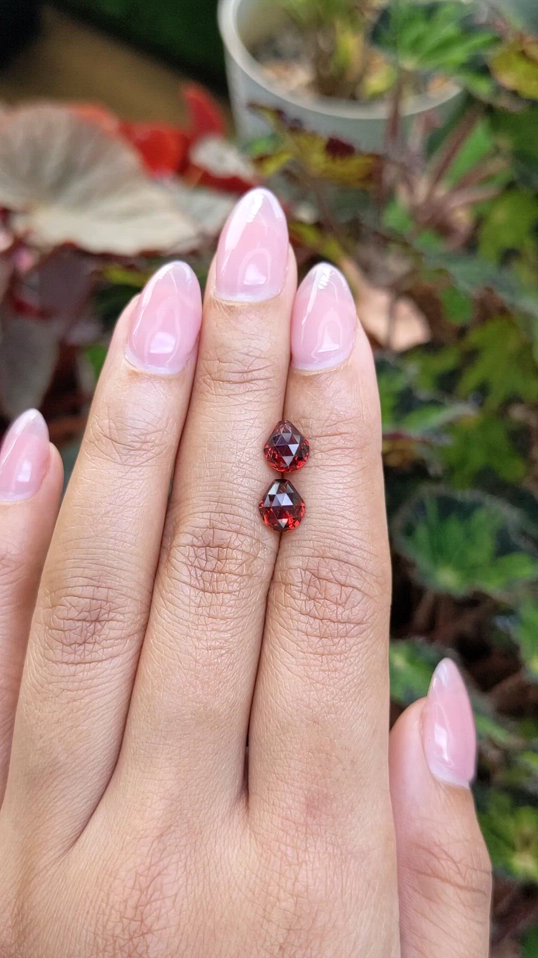 2.94&nbsp;Ct.Tw.Total Carat Weight Red Almandine Garnet Pair from Ceylon (Sri Lanka) Size Video