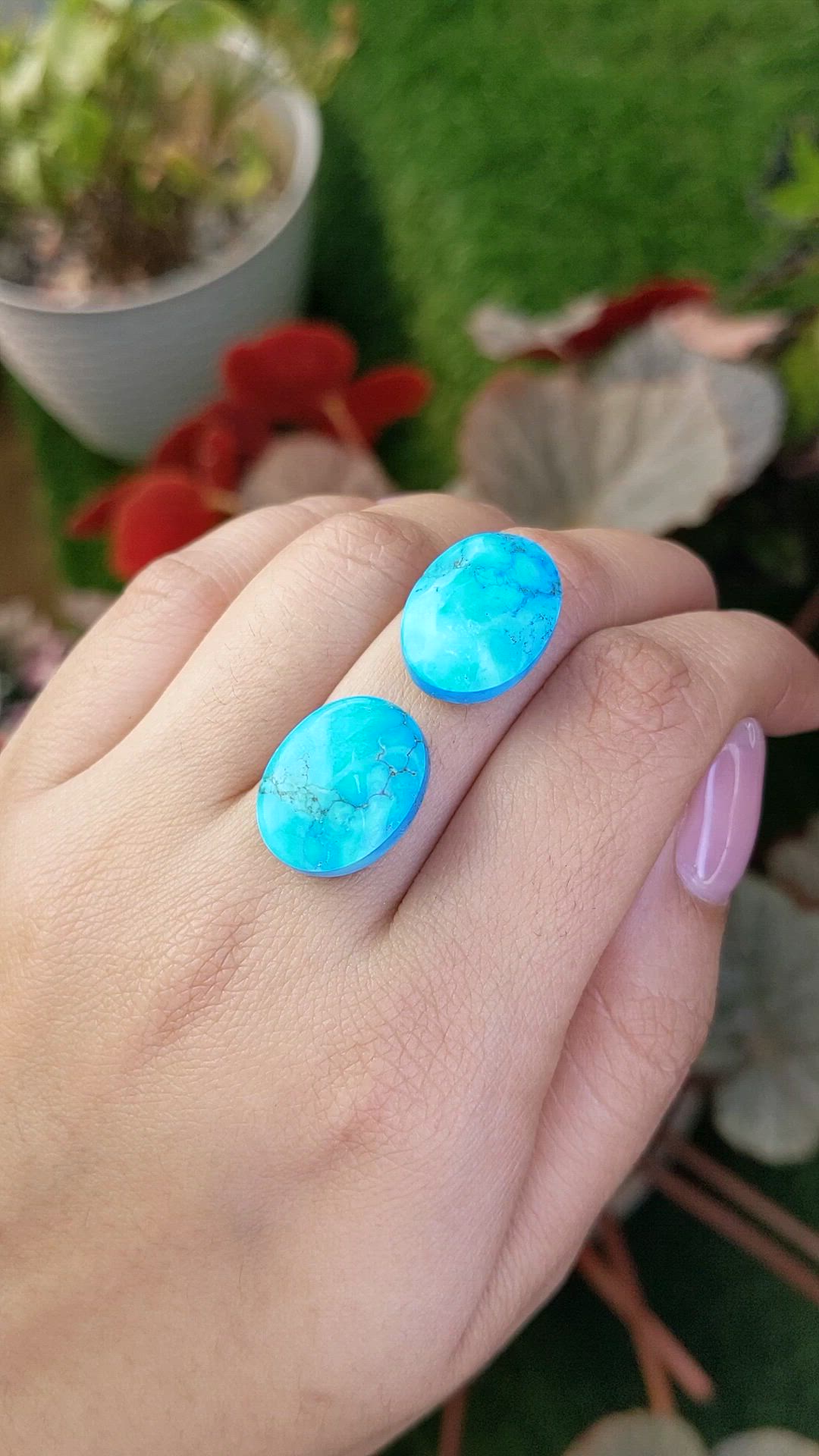30.96&nbsp;Ct.Tw.Total Carat Weight Blue Cabochon Turquoise Pair from Persia(Iran) Size Video