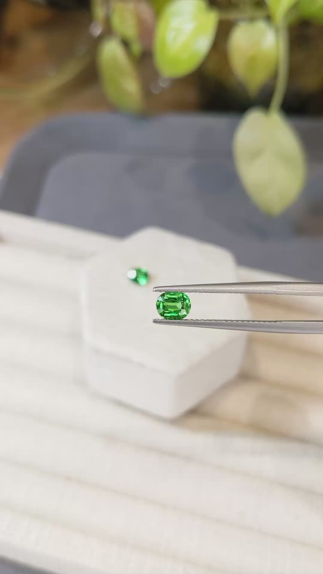 1.18&nbsp;Ct.Tw.Total Carat Weight Tsavorite Garnet Pair from Tanzania Size Video