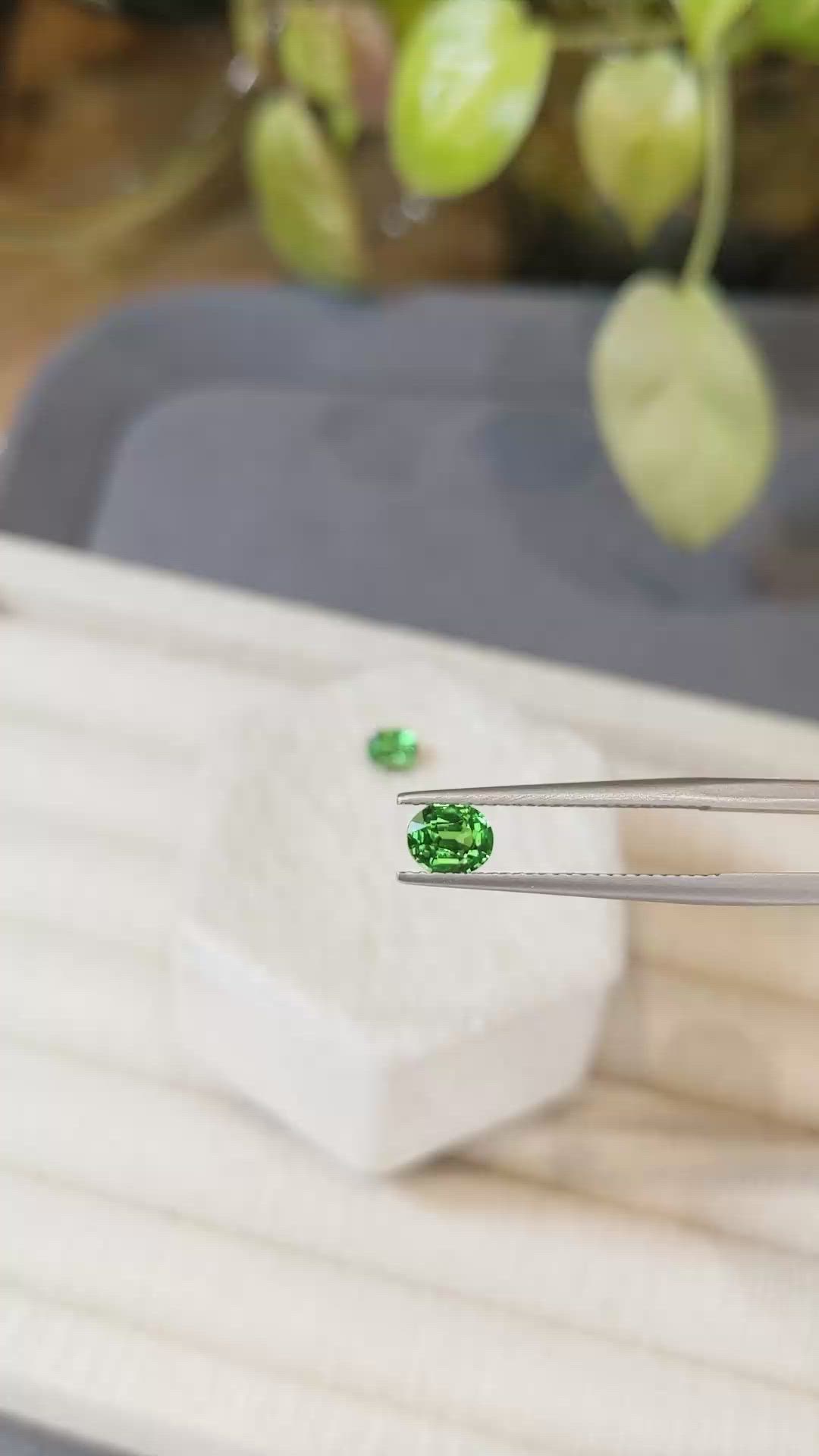 1.26&nbsp;Ct.Tw.Total Carat Weight Tsavorite Garnet Pair from Tanzania Size Video