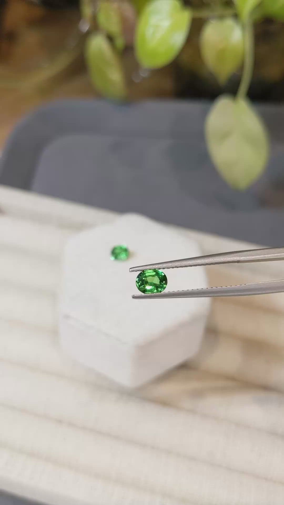 1.14&nbsp;Ct.Tw.Total Carat Weight Tsavorite Garnet Pair from Tanzania Size Video