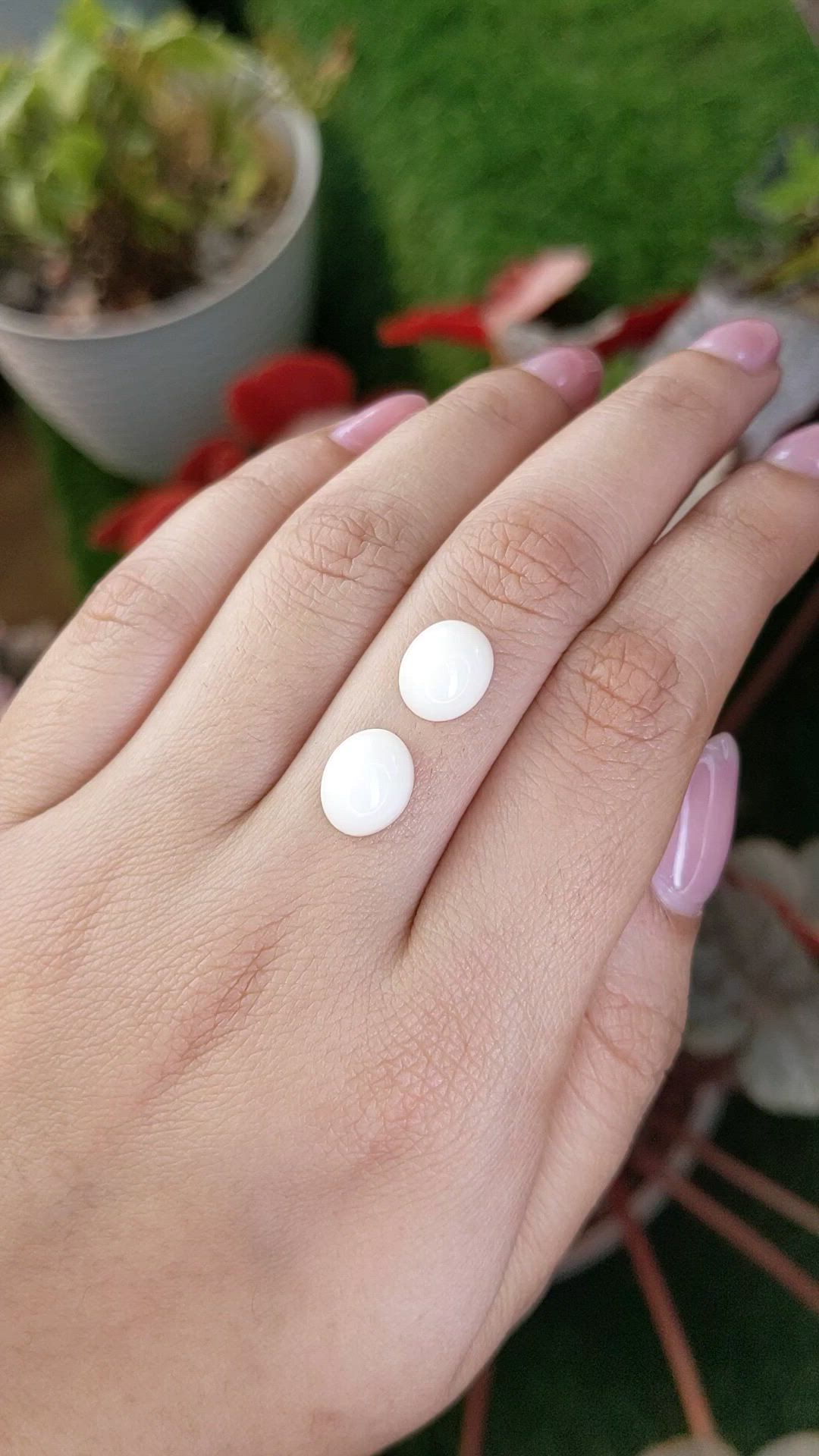 6.29&nbsp;Ct.Tw.Total Carat Weight Salmon and White Cabochon Coral Pair from Italy Size Video