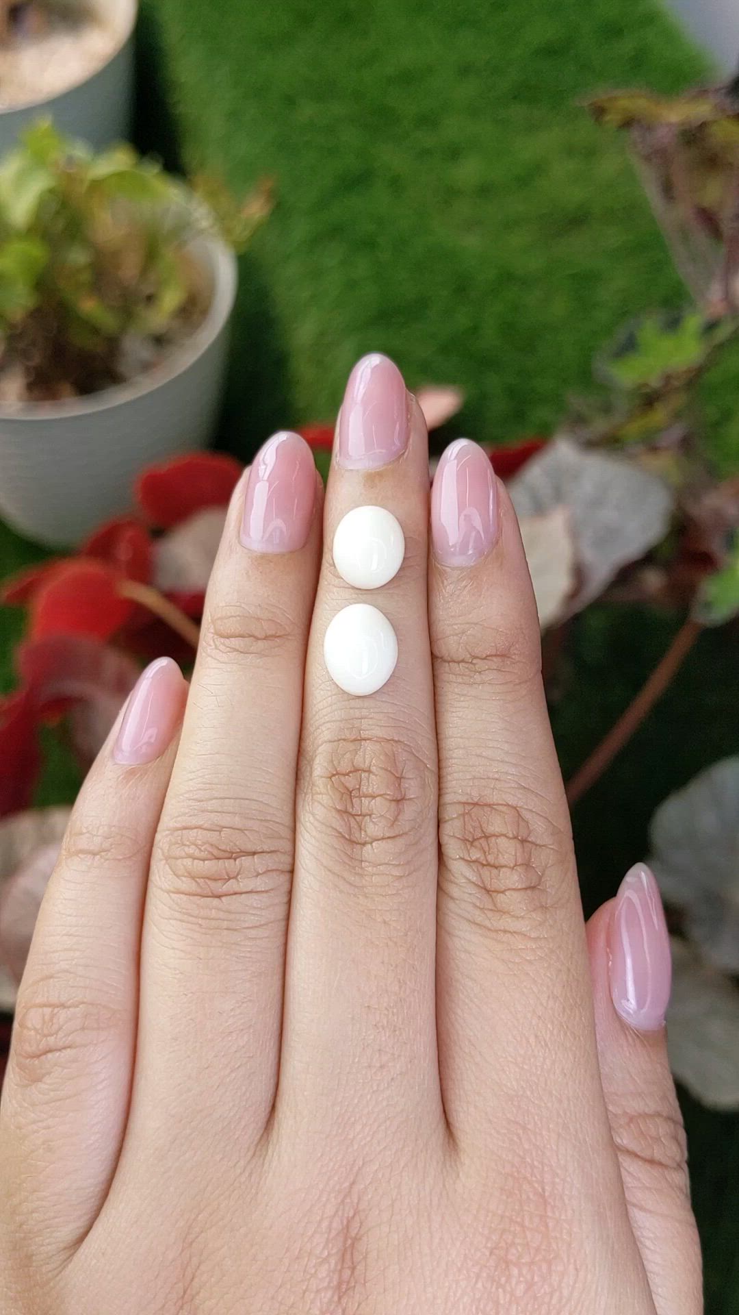 6.29&nbsp;Ct.Tw.Total Carat Weight Salmon and White Cabochon Coral Pair from Italy Size Video