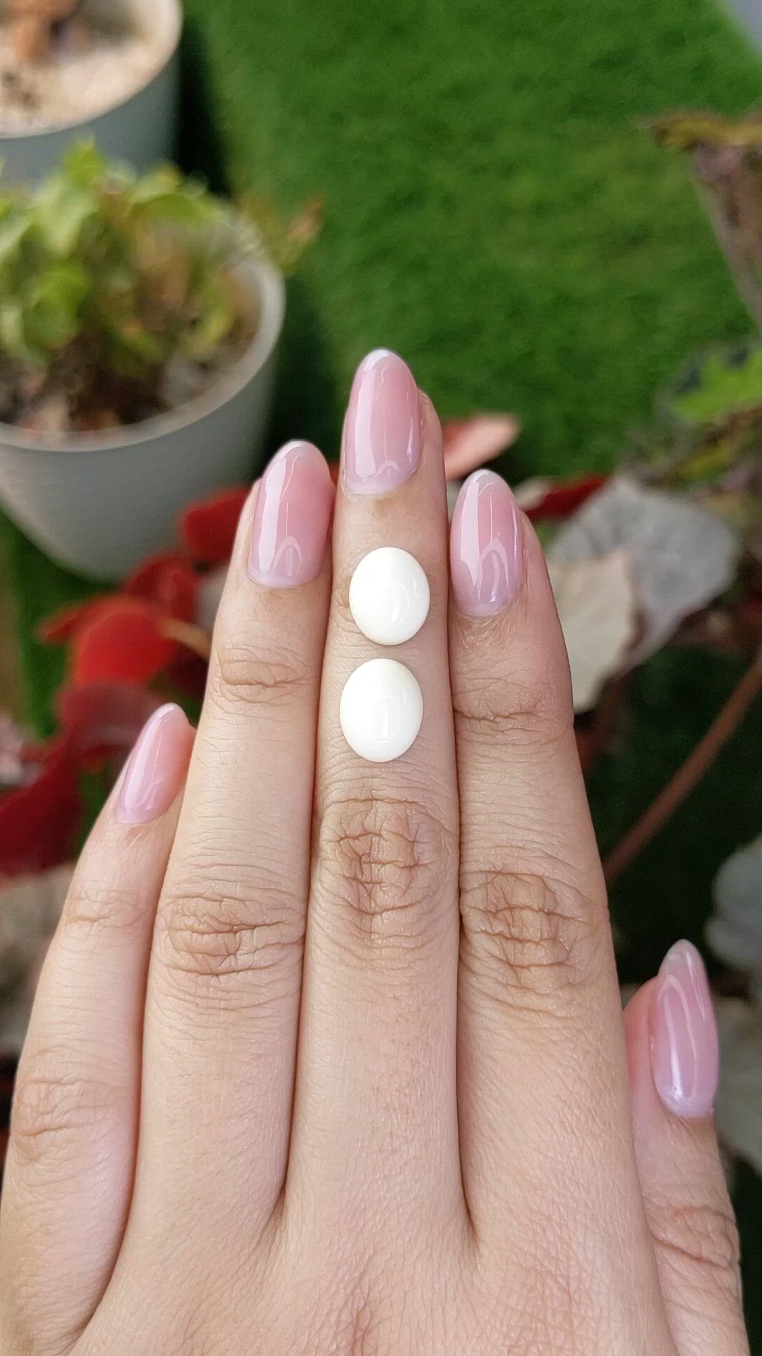 7.03&nbsp;Ct.Tw.Total Carat Weight Salmon and White Cabochon Coral Pair from Italy Size Video