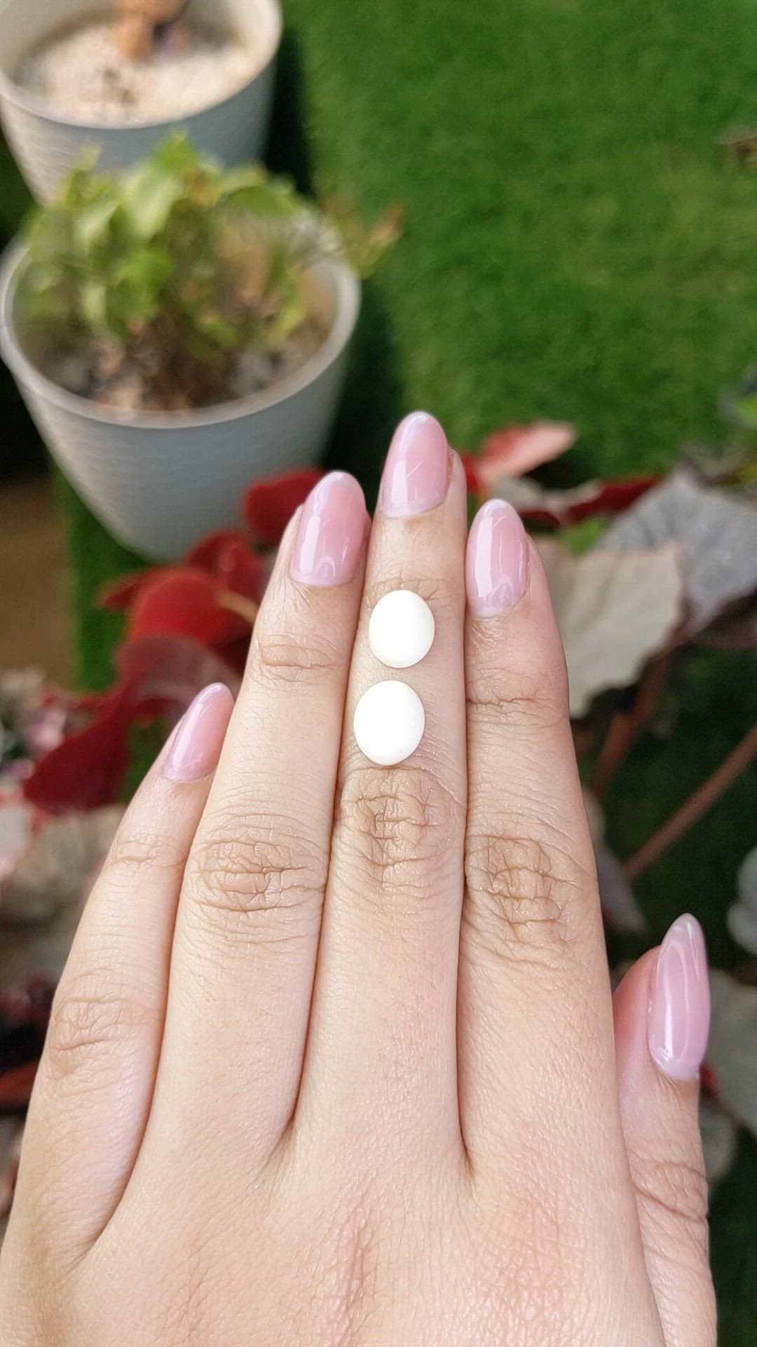 5.19&nbsp;Ct.Tw.Total Carat Weight Salmon and White Cabochon Coral Pair from Italy Size Video