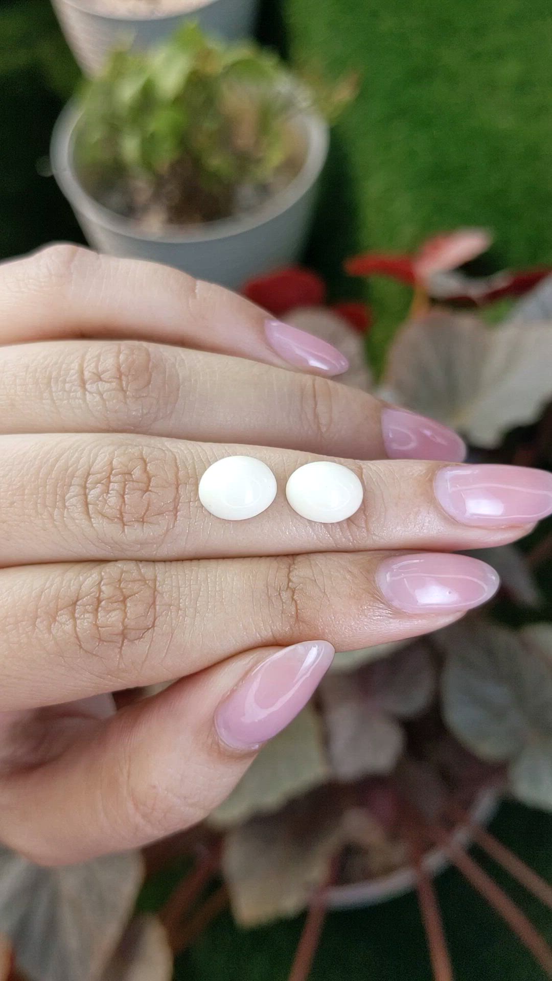 5.19&nbsp;Ct.Tw.Total Carat Weight Salmon and White Cabochon Coral Pair from Italy Size Video