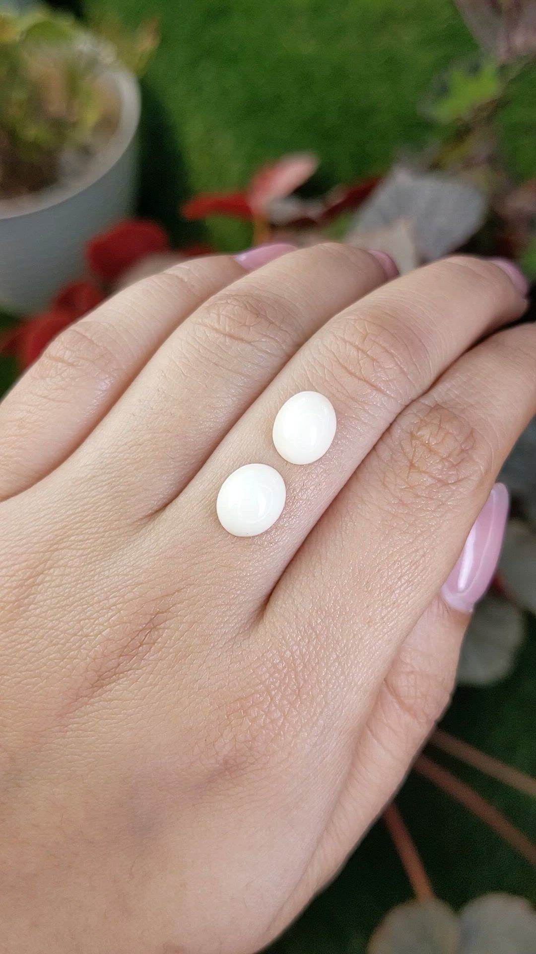 5.19&nbsp;Ct.Tw.Total Carat Weight Salmon and White Cabochon Coral Pair from Italy Size Video