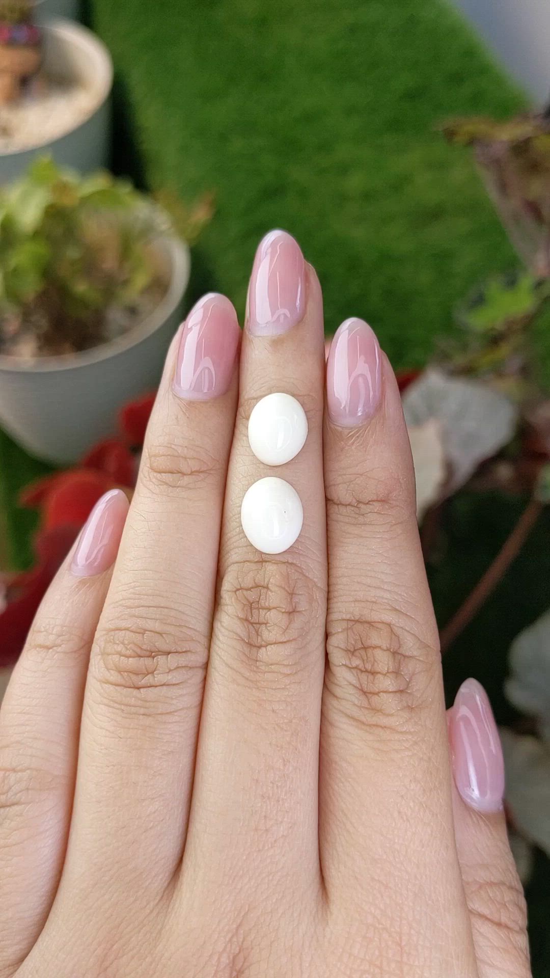 6.72&nbsp;Ct.Tw.Total Carat Weight Salmon and White Cabochon Coral Pair from Italy Size Video