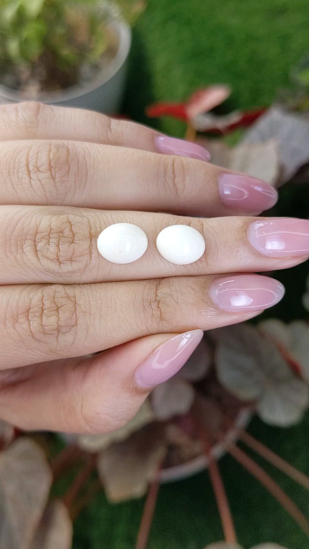 6.72&nbsp;Ct.Tw.Total Carat Weight Salmon and White Cabochon Coral Pair from Italy Size Video