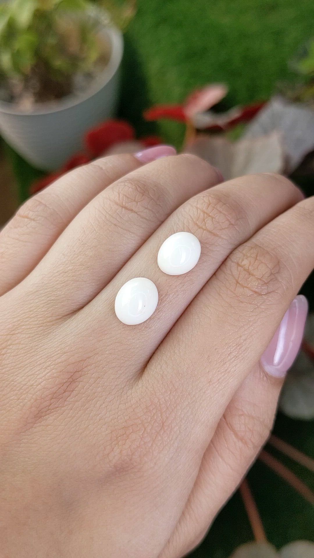 6.72&nbsp;Ct.Tw.Total Carat Weight Salmon and White Cabochon Coral Pair from Italy Size Video