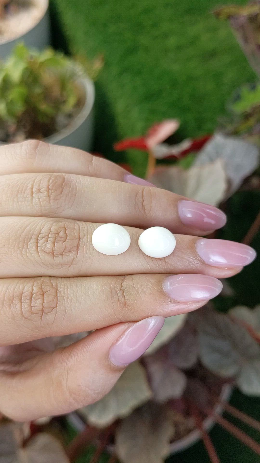 7.54&nbsp;Ct.Tw.Total Carat Weight Salmon and White Cabochon Coral Pair from Italy Size Video