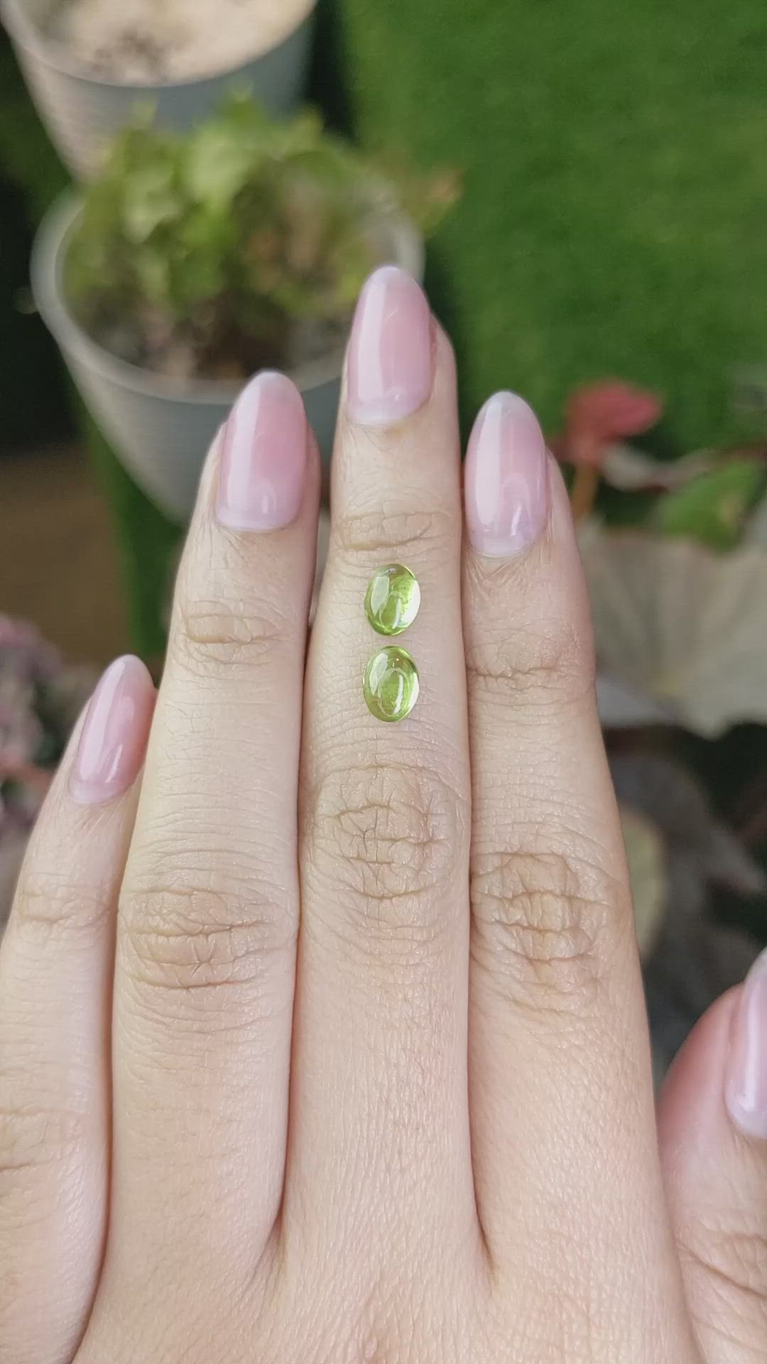 1.64&nbsp;Ct.Tw.Total Carat Weight Green (Lime Green) Cabochon Peridot Pair from Ceylon (Sri Lanka) Size Video