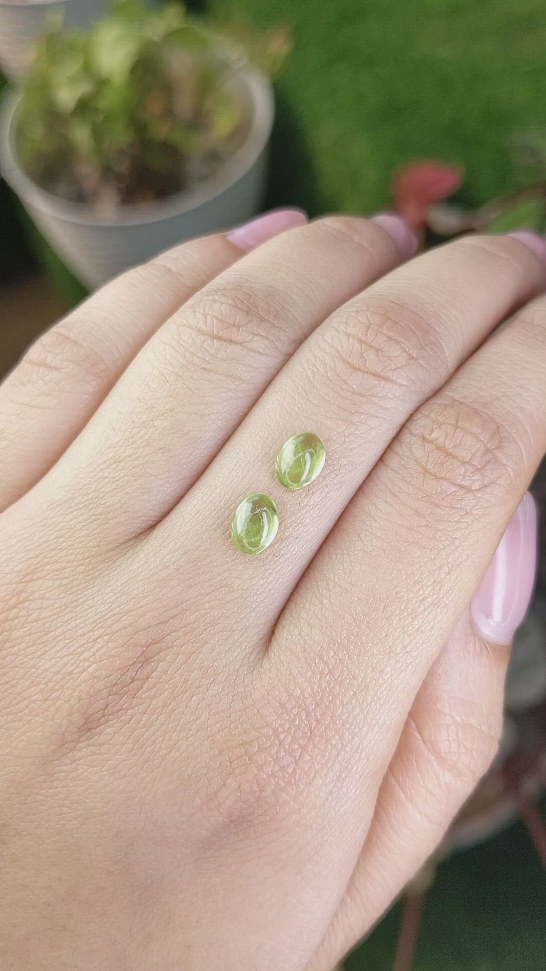 1.64&nbsp;Ct.Tw.Total Carat Weight Green (Lime Green) Cabochon Peridot Pair from Ceylon (Sri Lanka) Size Video