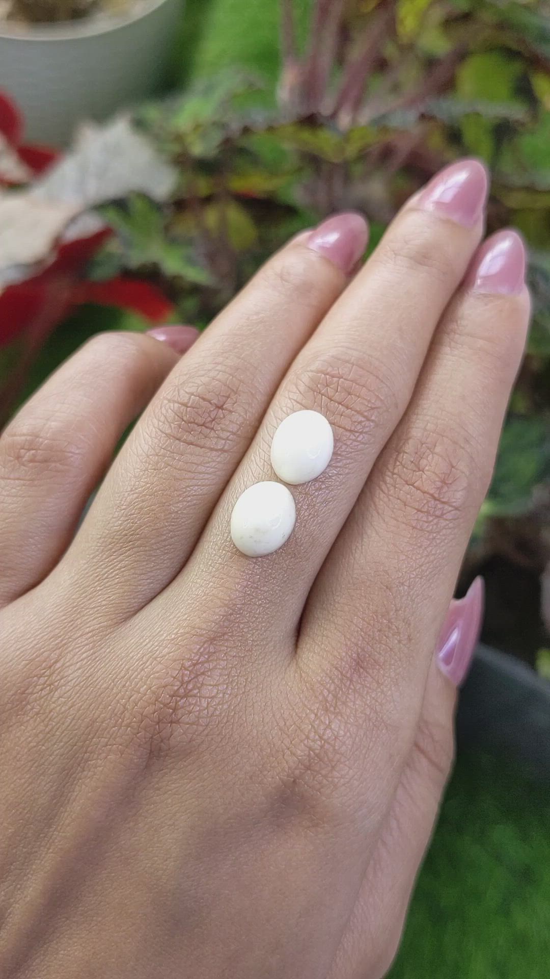 6.84&nbsp;Ct.Tw.Total Carat Weight Salmon and White Cabochon Coral Pair from Italy Size Video