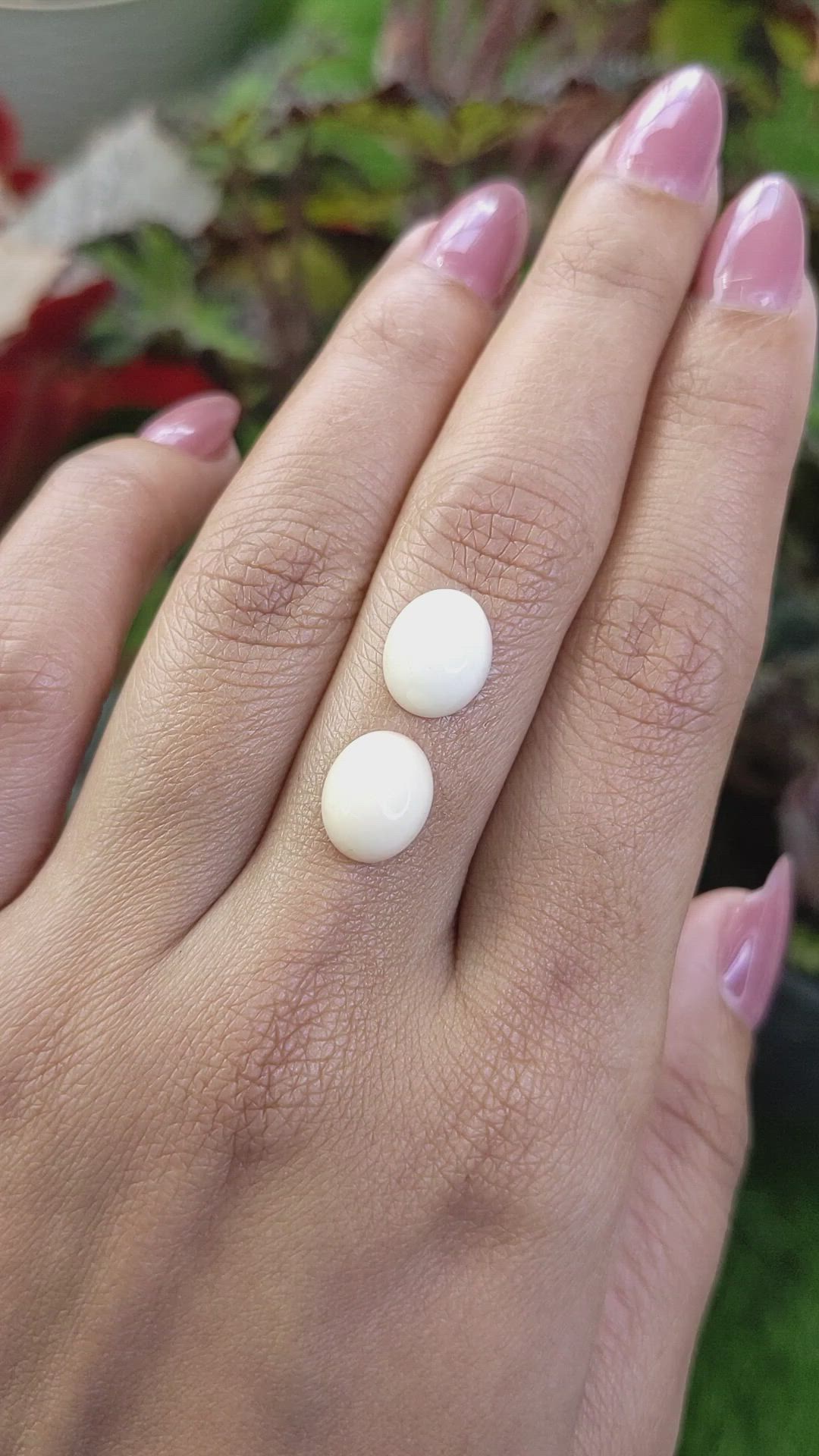 6.55&nbsp;Ct.Tw.Total Carat Weight Salmon and White Cabochon Coral Pair from Italy Size Video