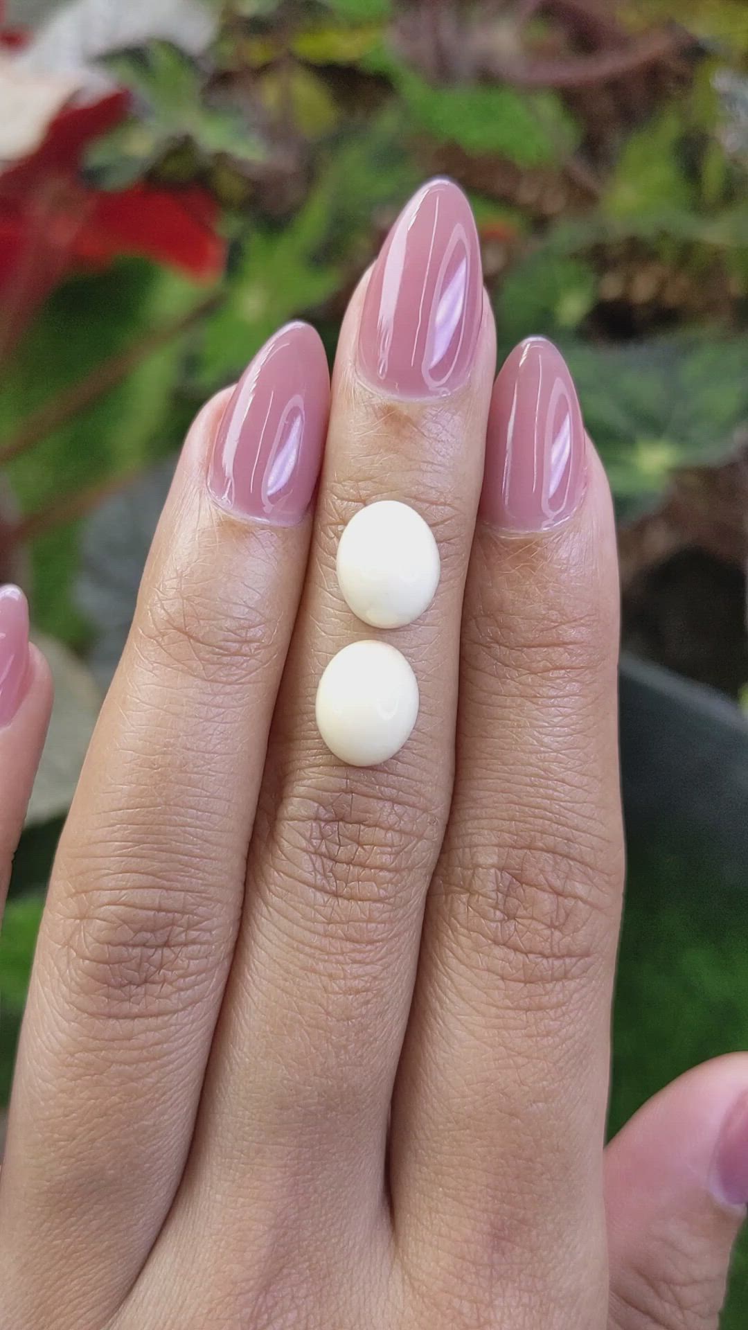 6.55&nbsp;Ct.Tw.Total Carat Weight Salmon and White Cabochon Coral Pair from Italy Size Video