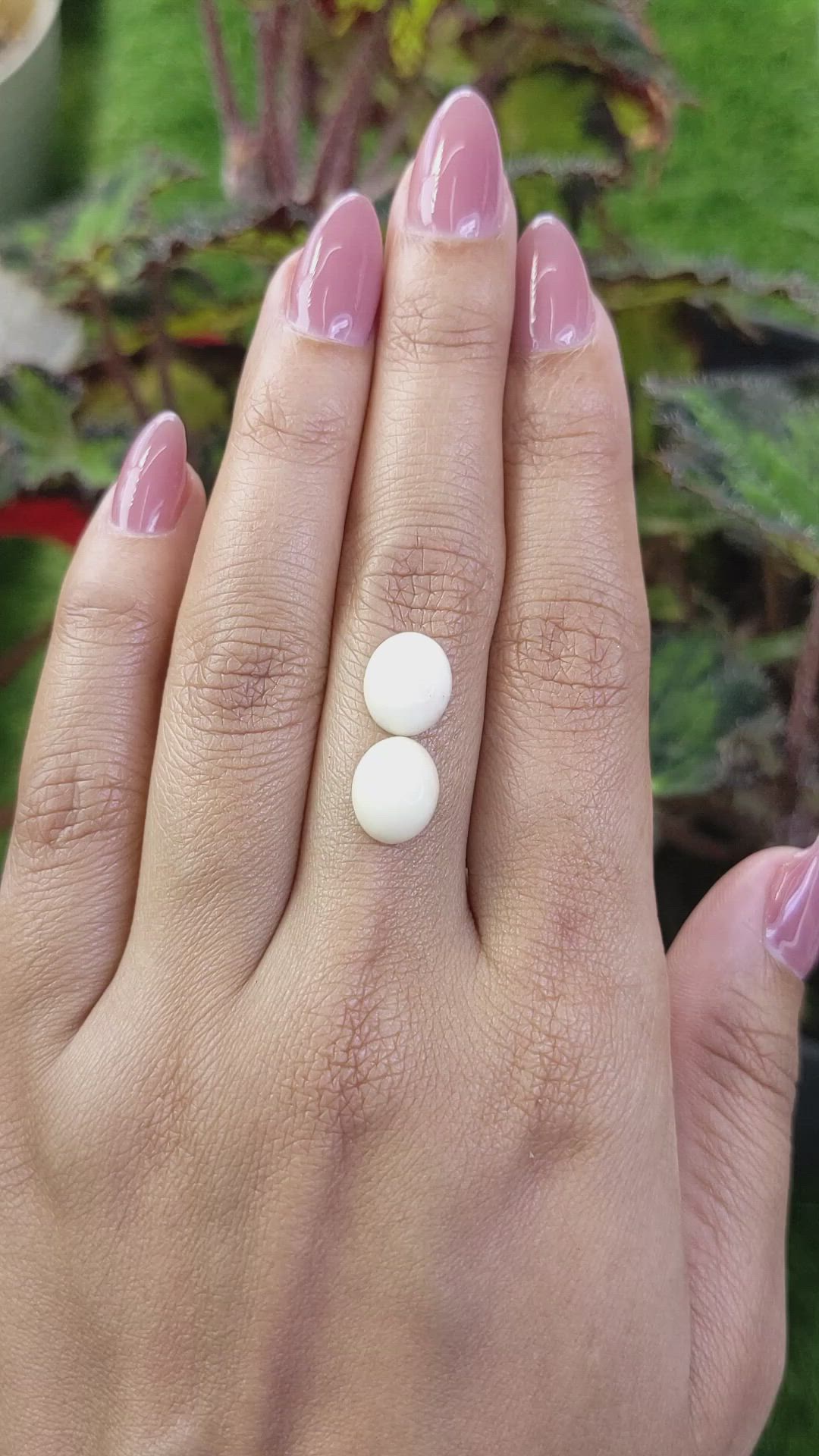 5.68&nbsp;Ct.Tw.Total Carat Weight Salmon and White Cabochon Coral Pair from Italy Size Video