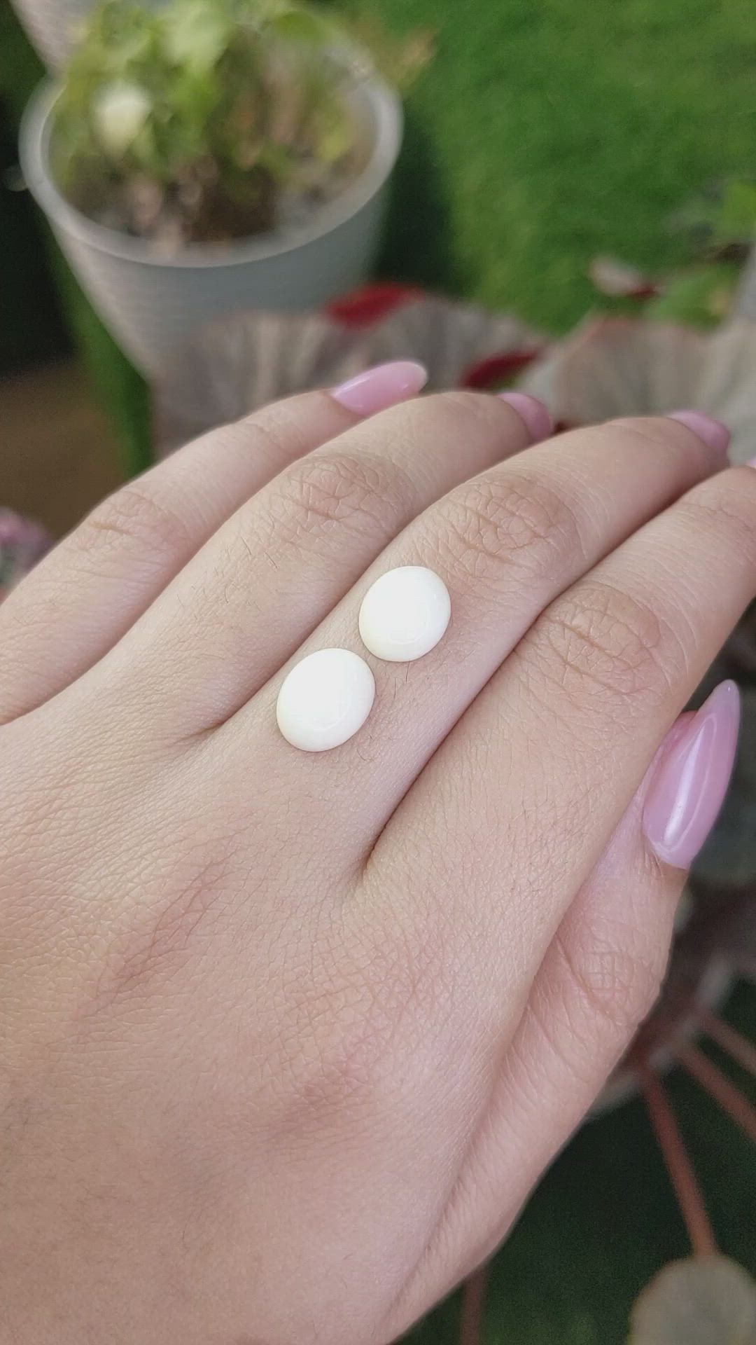 6.05&nbsp;Ct.Tw.Total Carat Weight Salmon and White Cabochon Coral Pair from Italy Size Video