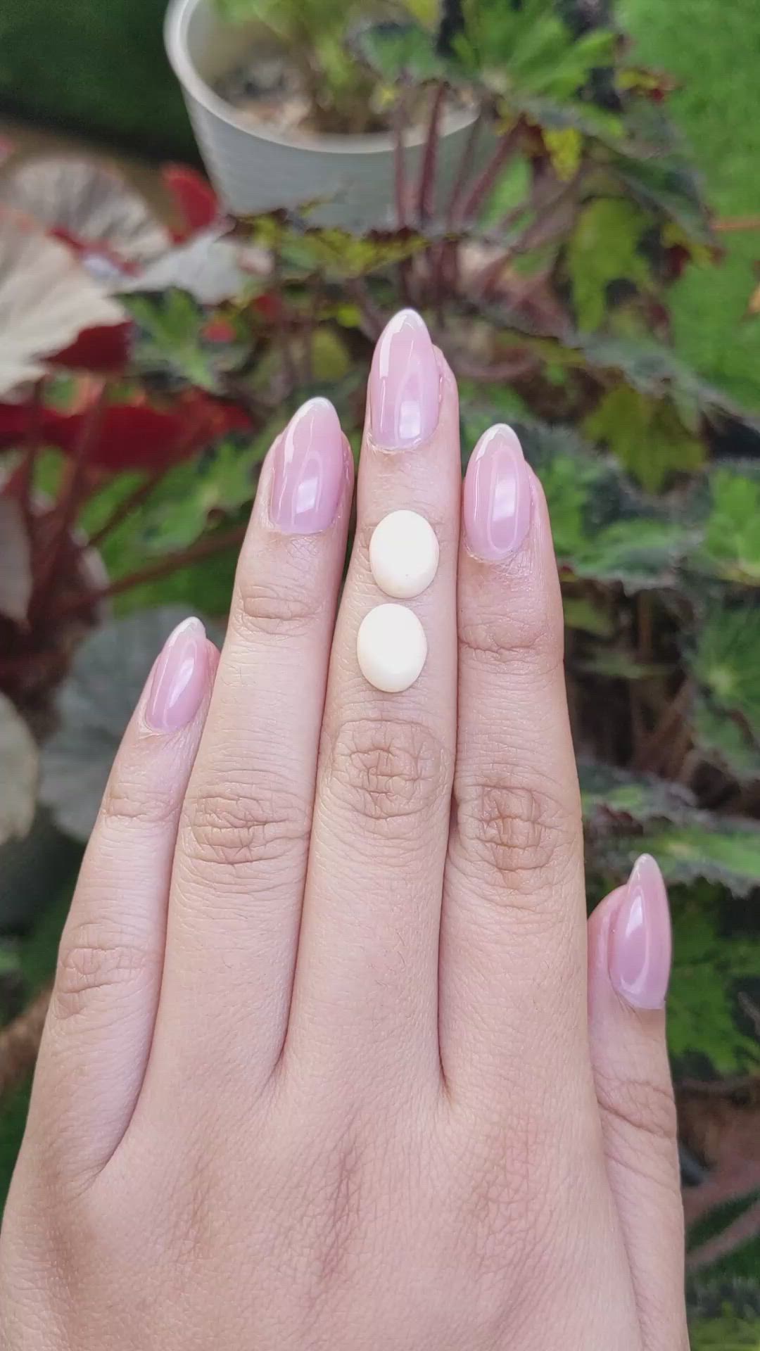 6.30&nbsp;Ct.Tw.Total Carat Weight Salmon and White Cabochon Coral Pair from Italy Size Video