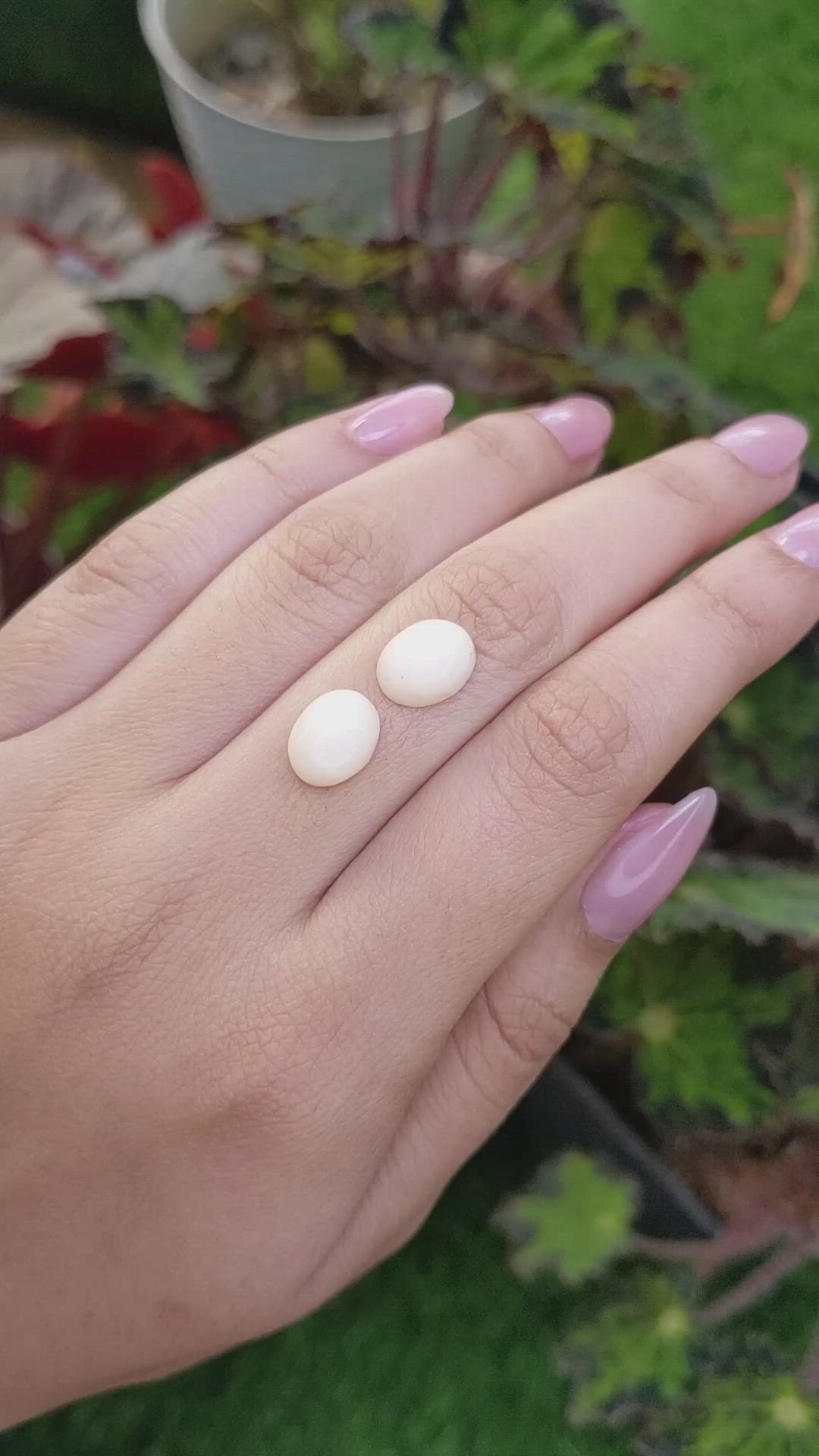 6.30&nbsp;Ct.Tw.Total Carat Weight Salmon and White Cabochon Coral Pair from Italy Size Video