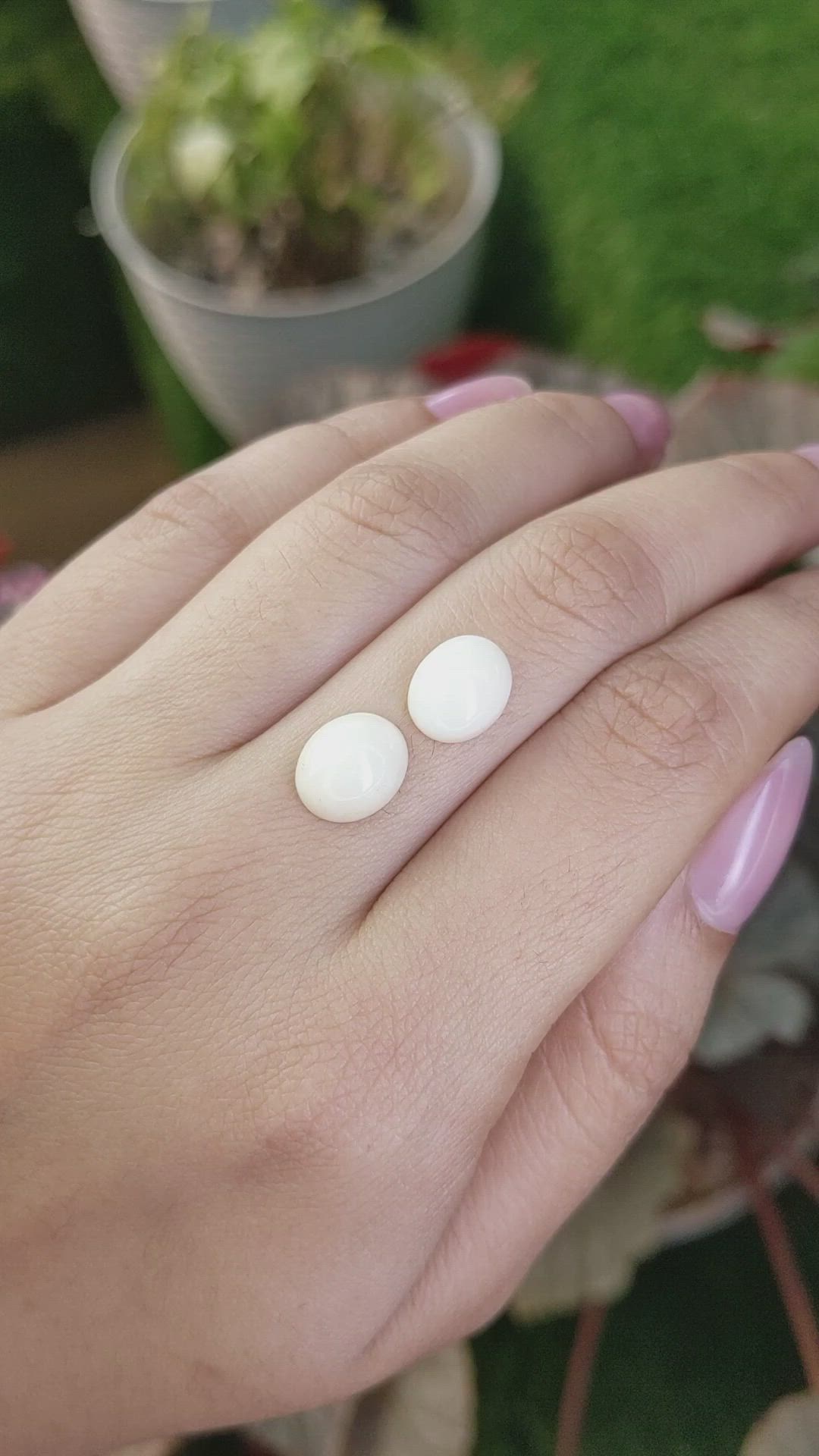 5.56&nbsp;Ct.Tw.Total Carat Weight Salmon and White Cabochon Coral Pair from Italy Size Video