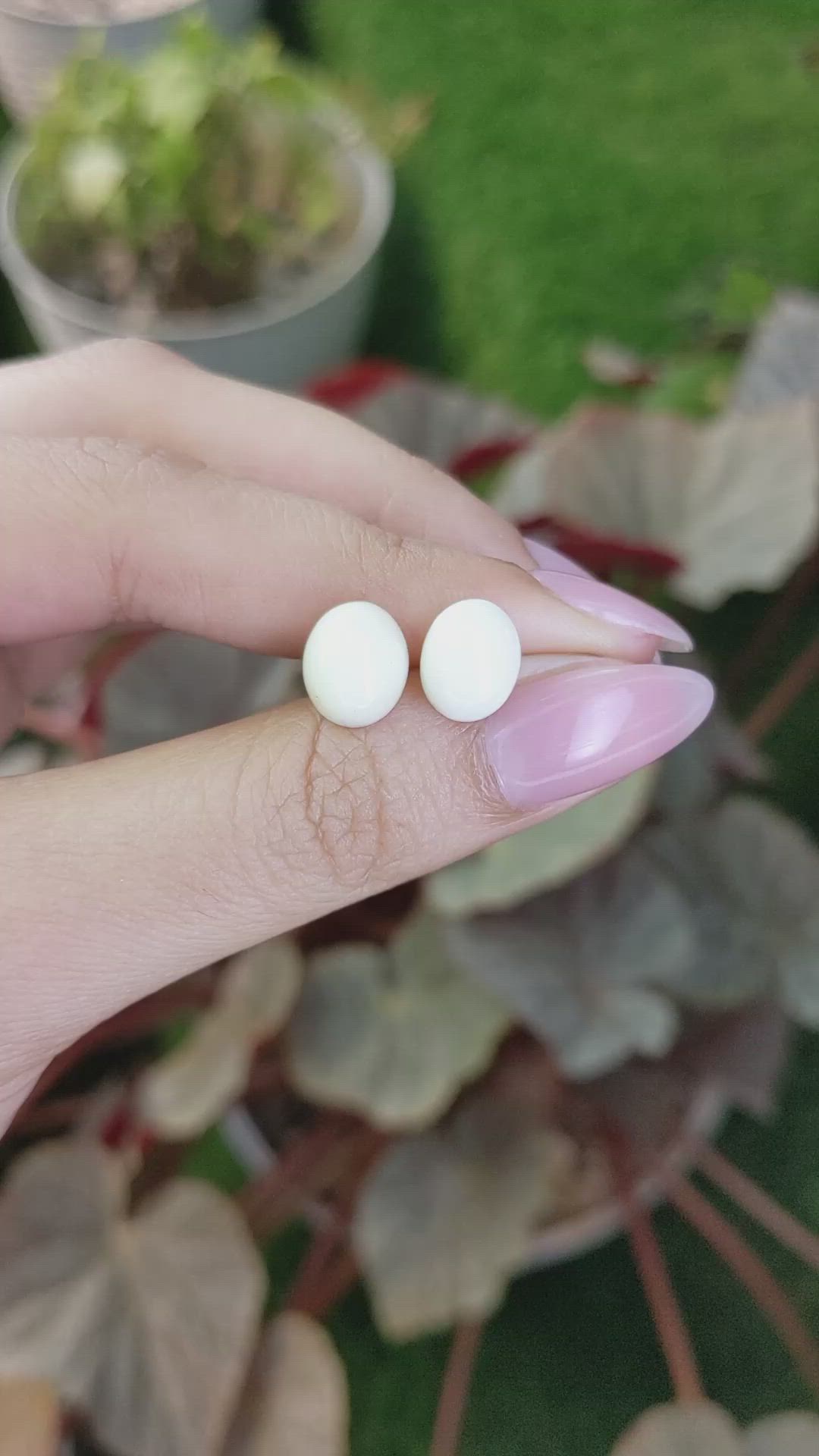 5.56&nbsp;Ct.Tw.Total Carat Weight Salmon and White Cabochon Coral Pair from Italy Size Video