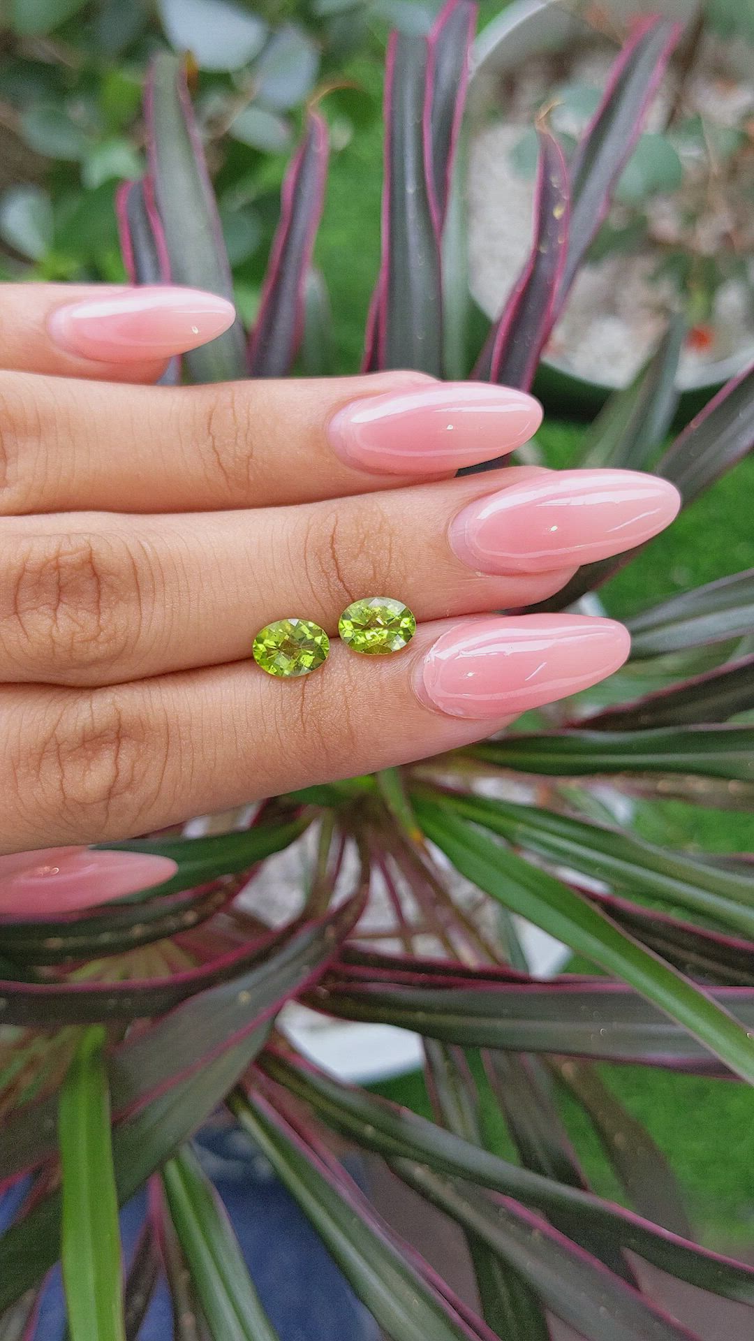 2.43 Ct.Tw.Total Carat Weight Peridot Pair from Ceylon (Sri Lanka) Size Video