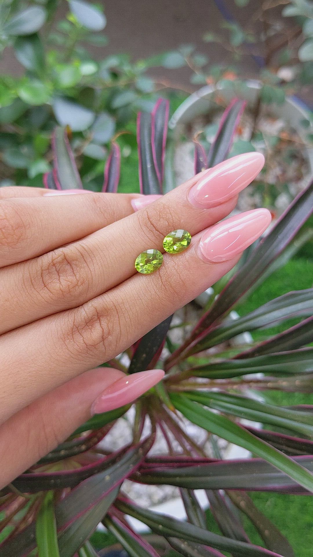 2.43 Ct.Tw.Total Carat Weight Peridot Pair from Ceylon (Sri Lanka) Size Video