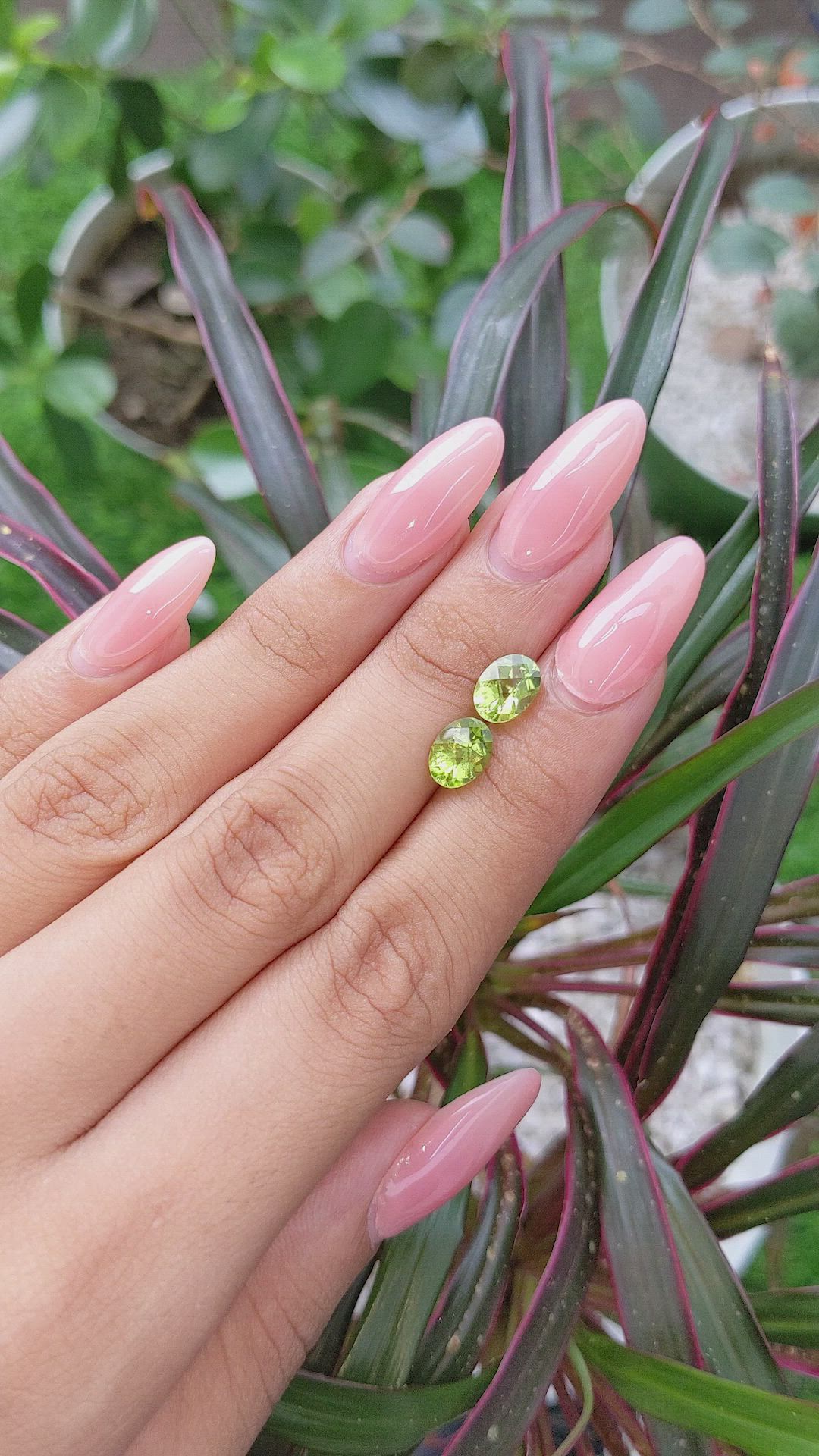 2.75&nbsp;Ct.Tw.Total Carat Weight Peridot Pair from Ceylon (Sri Lanka) Size Video