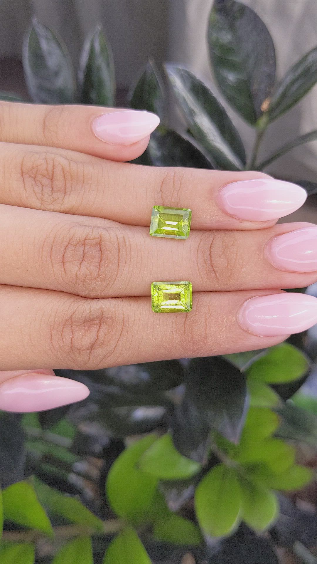 4.89&nbsp;Ct.Tw.Total Carat Weight Peridot Pair from Ceylon (Sri Lanka) Size Video