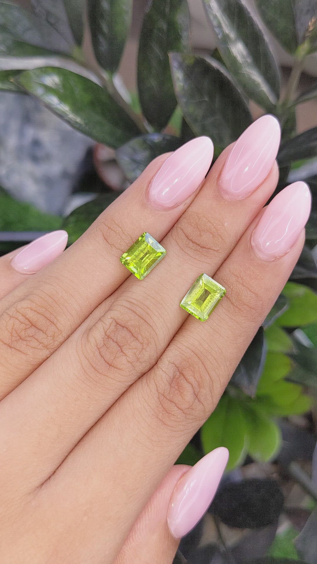 4.89&nbsp;Ct.Tw.Total Carat Weight Peridot Pair from Ceylon (Sri Lanka) Size Video