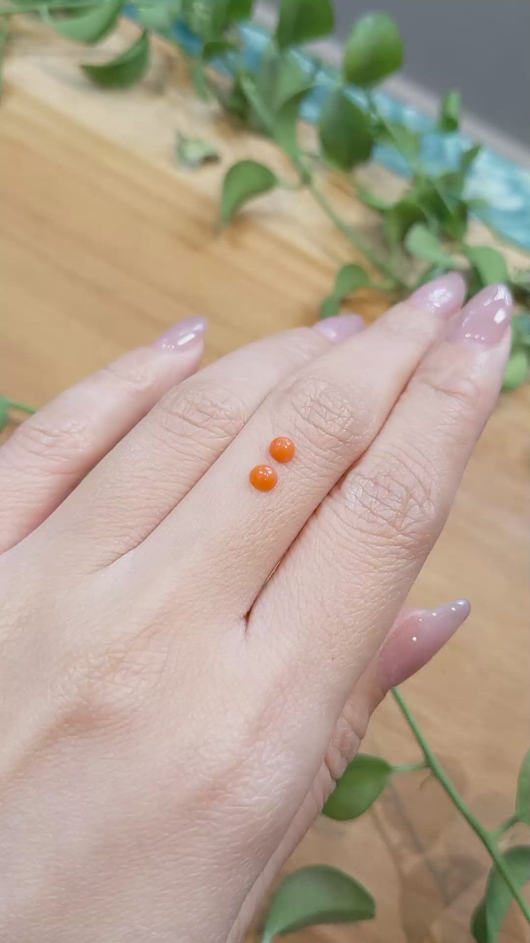 0.42 Ct.Tw.Total Carat Weight Cabochon Coral Pair from Italy Size Video