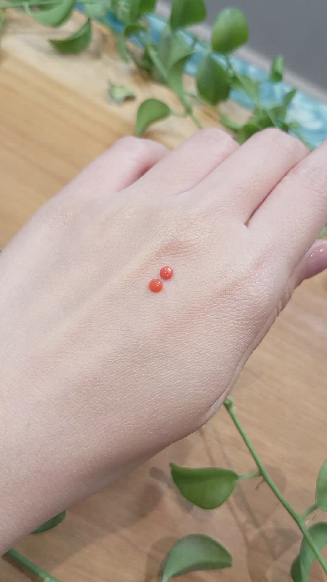 0.31&nbsp;Ct.Tw.Total Carat Weight Cabochon Coral Pair from Italy Size Video