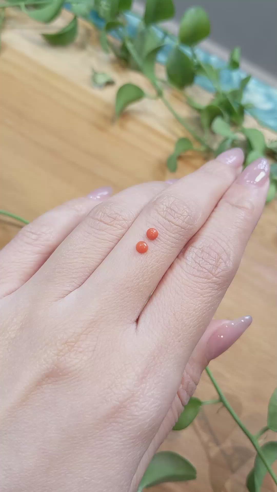 0.31&nbsp;Ct.Tw.Total Carat Weight Cabochon Coral Pair from Italy Size Video