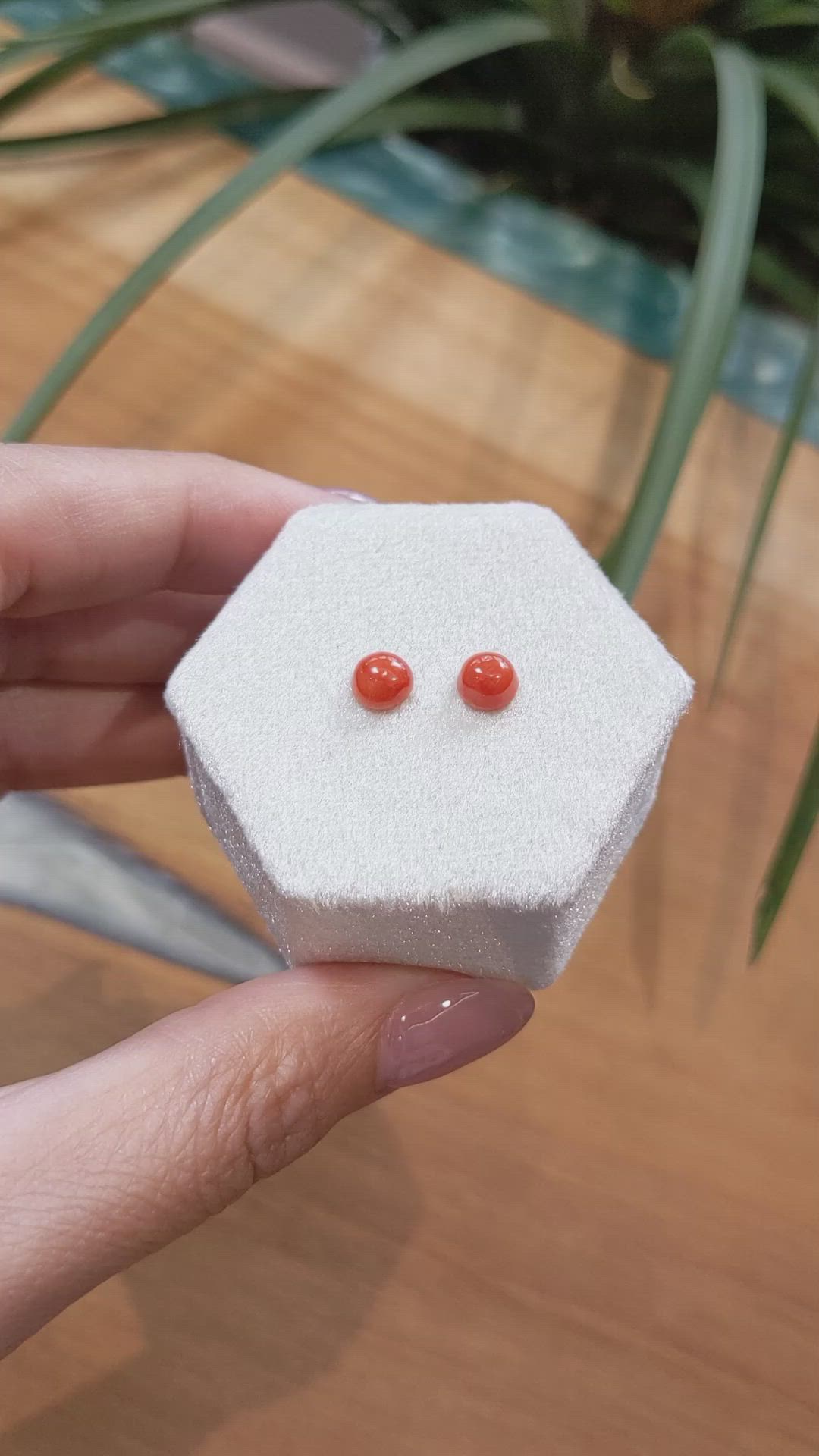 1.50 Ct.Tw.Total Carat Weight Cabochon Coral Pair from Italy Size Video