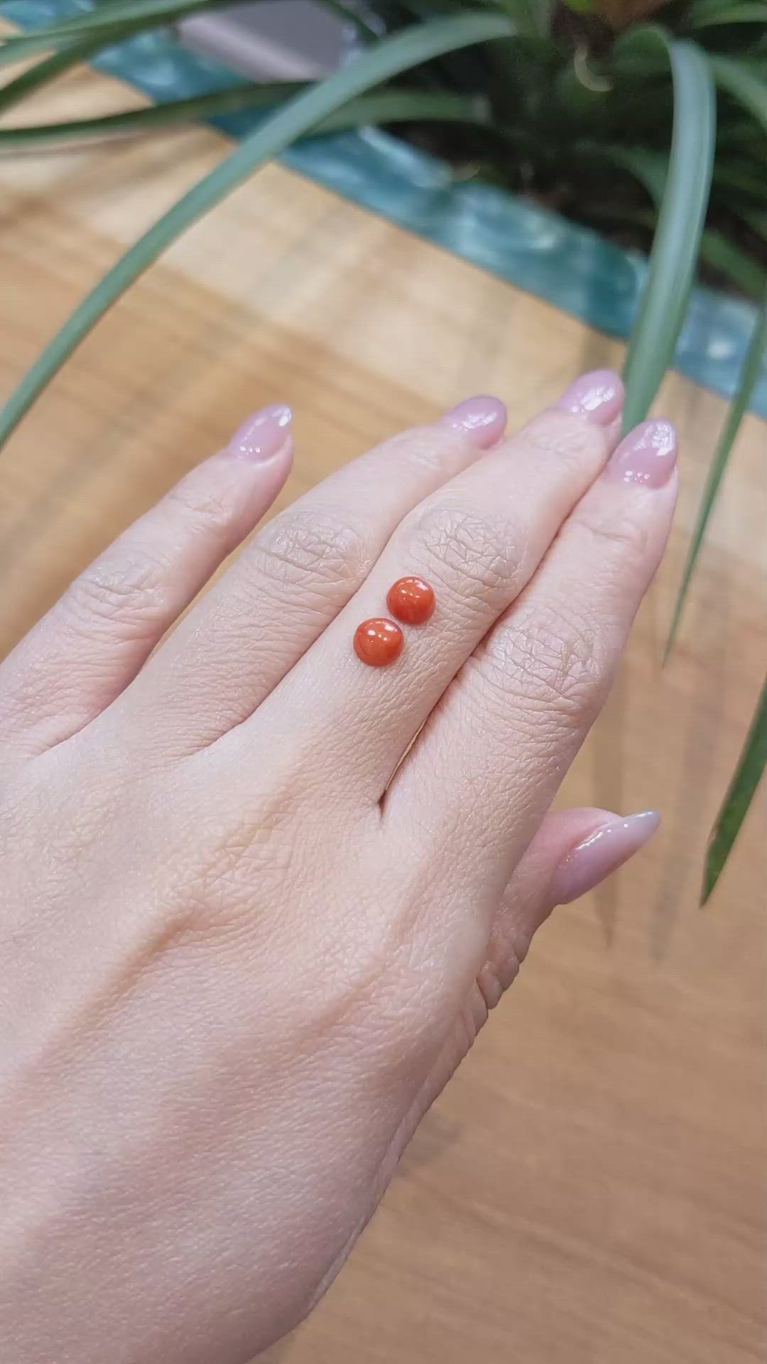 1.50 Ct.Tw.Total Carat Weight Cabochon Coral Pair from Italy Size Video