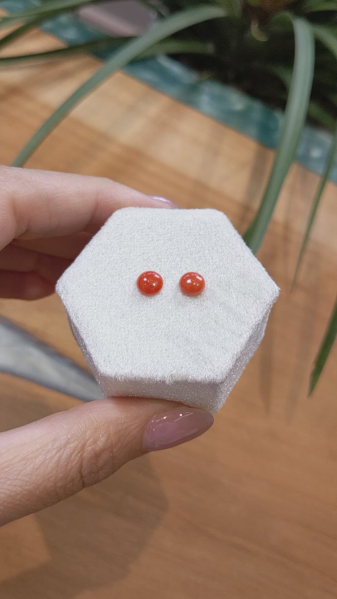 1.10 Ct.Tw.Total Carat Weight Cabochon Coral Pair from Italy Size Video