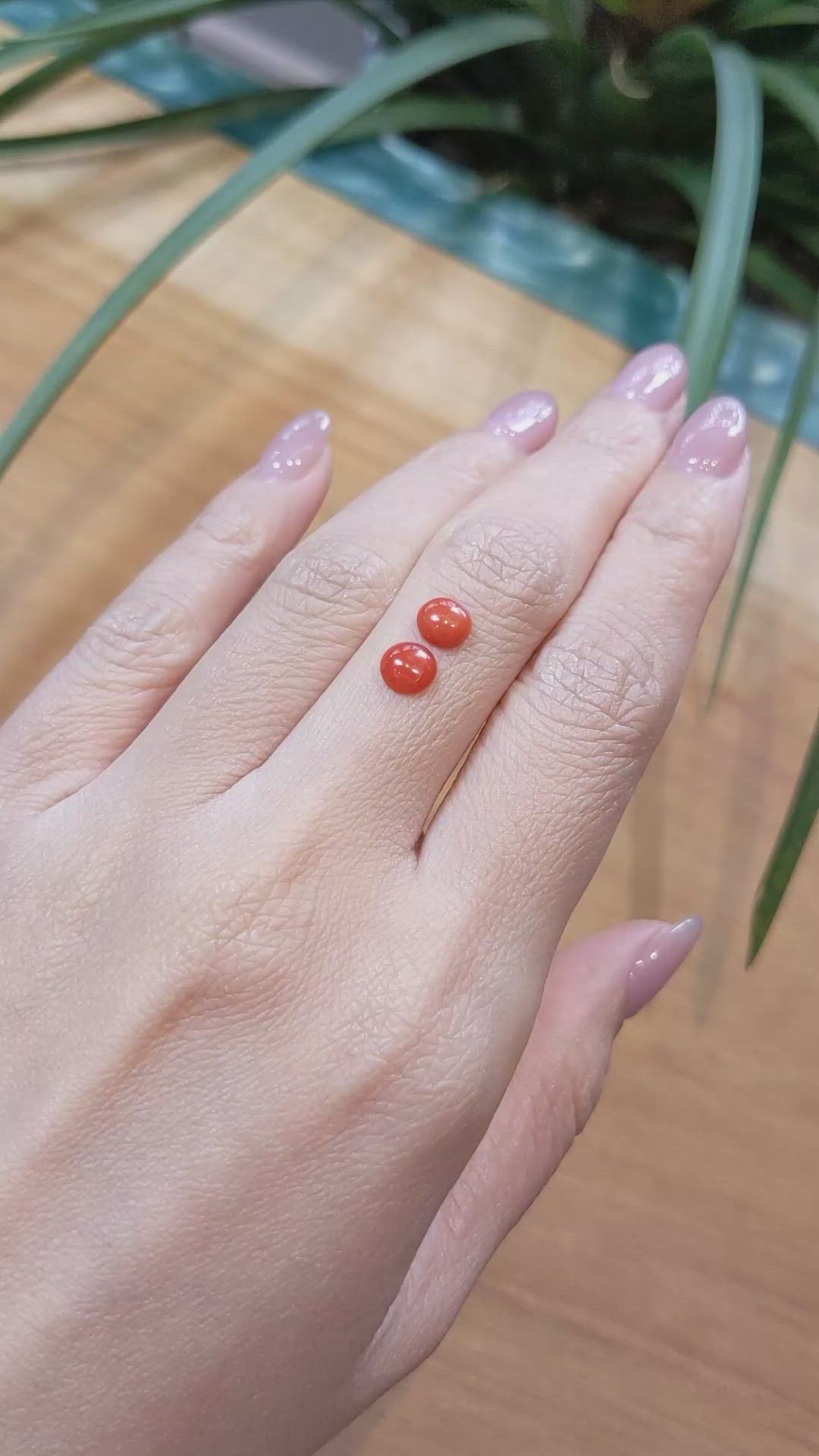 1.10 Ct.Tw.Total Carat Weight Cabochon Coral Pair from Italy Size Video