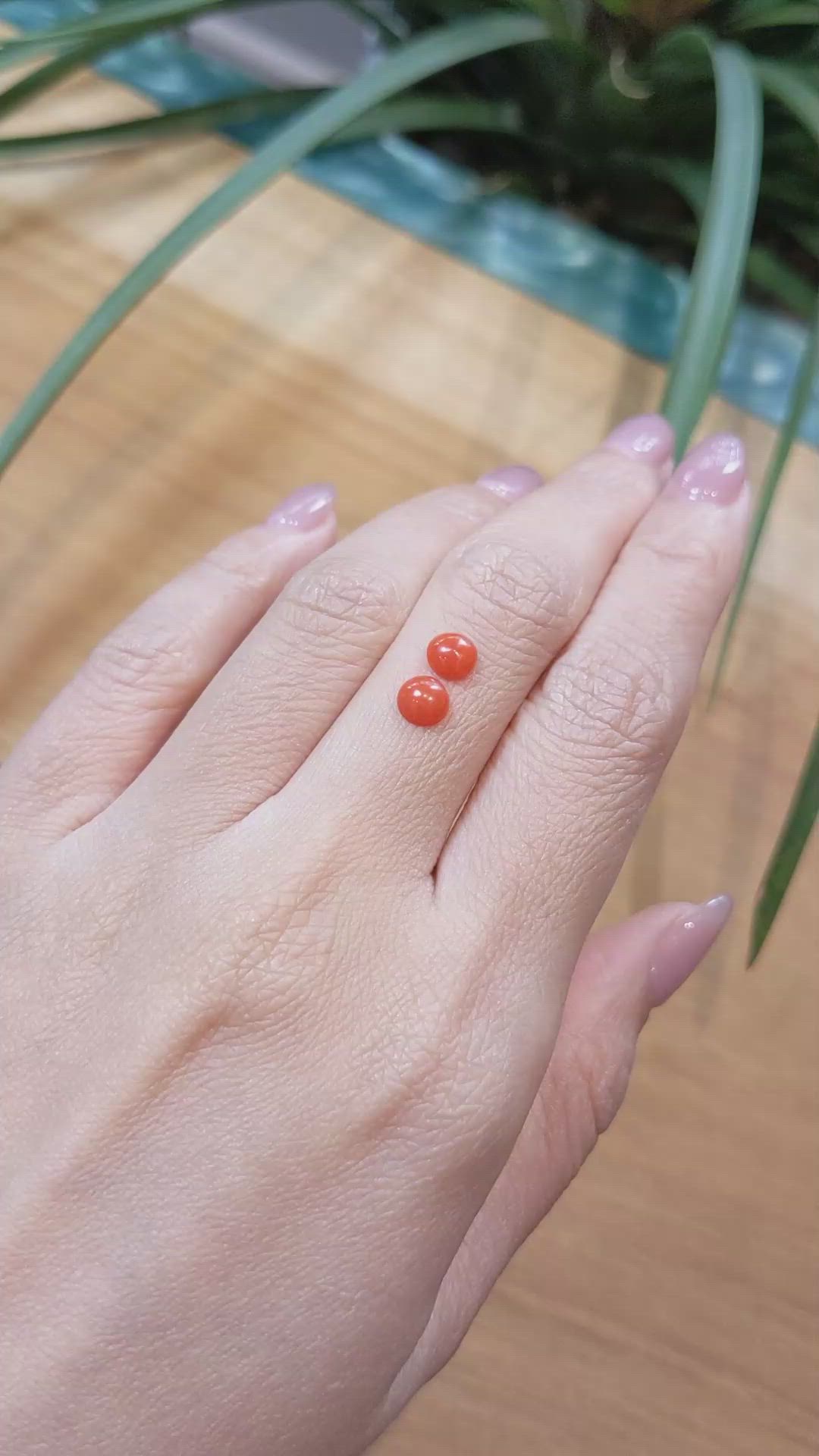 0.92&nbsp;Ct.Tw.Total Carat Weight Cabochon Coral Pair from Italy Size Video