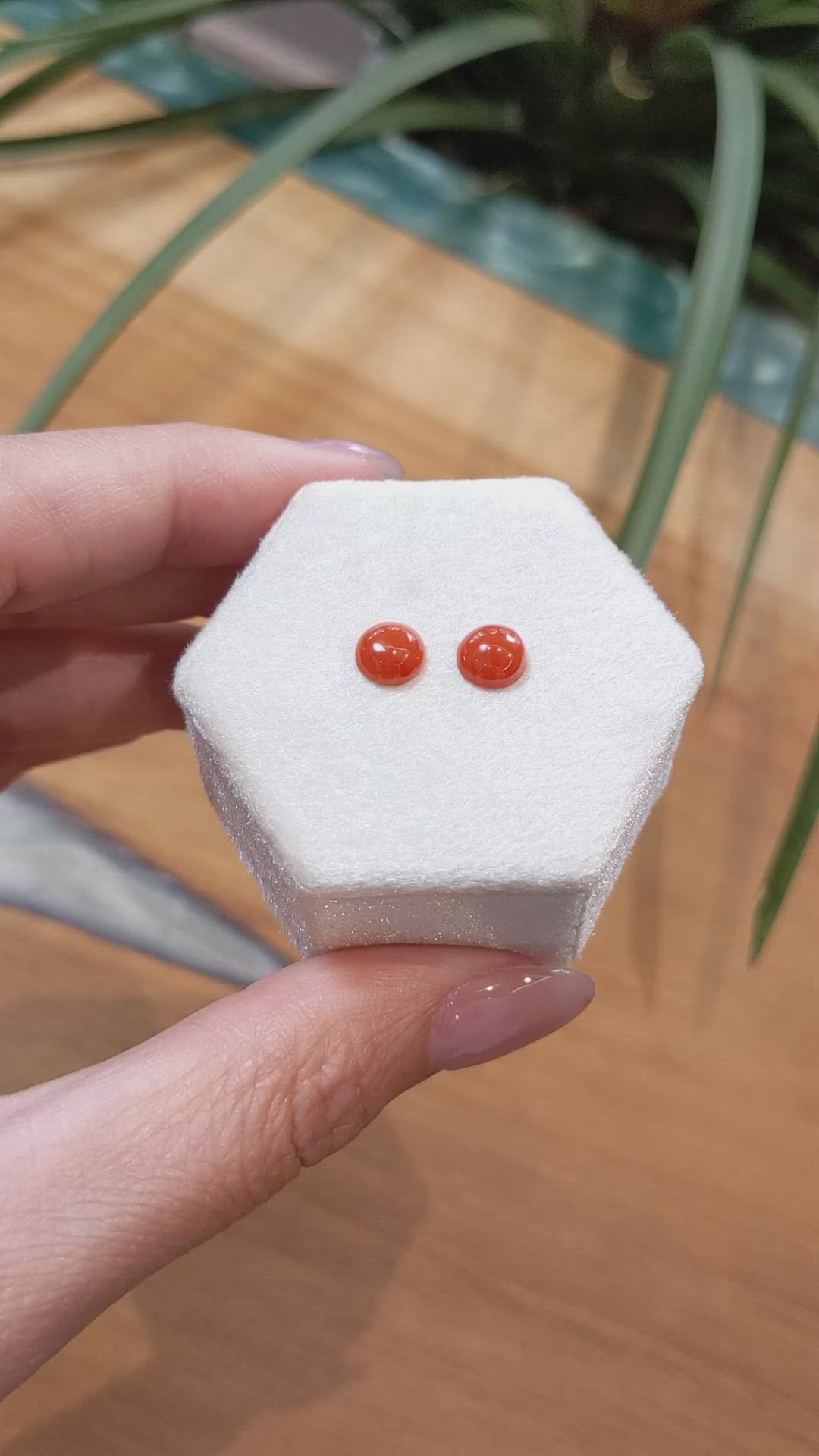 1.62 Ct.Tw.Total Carat Weight Cabochon Coral Pair from Italy Size Video