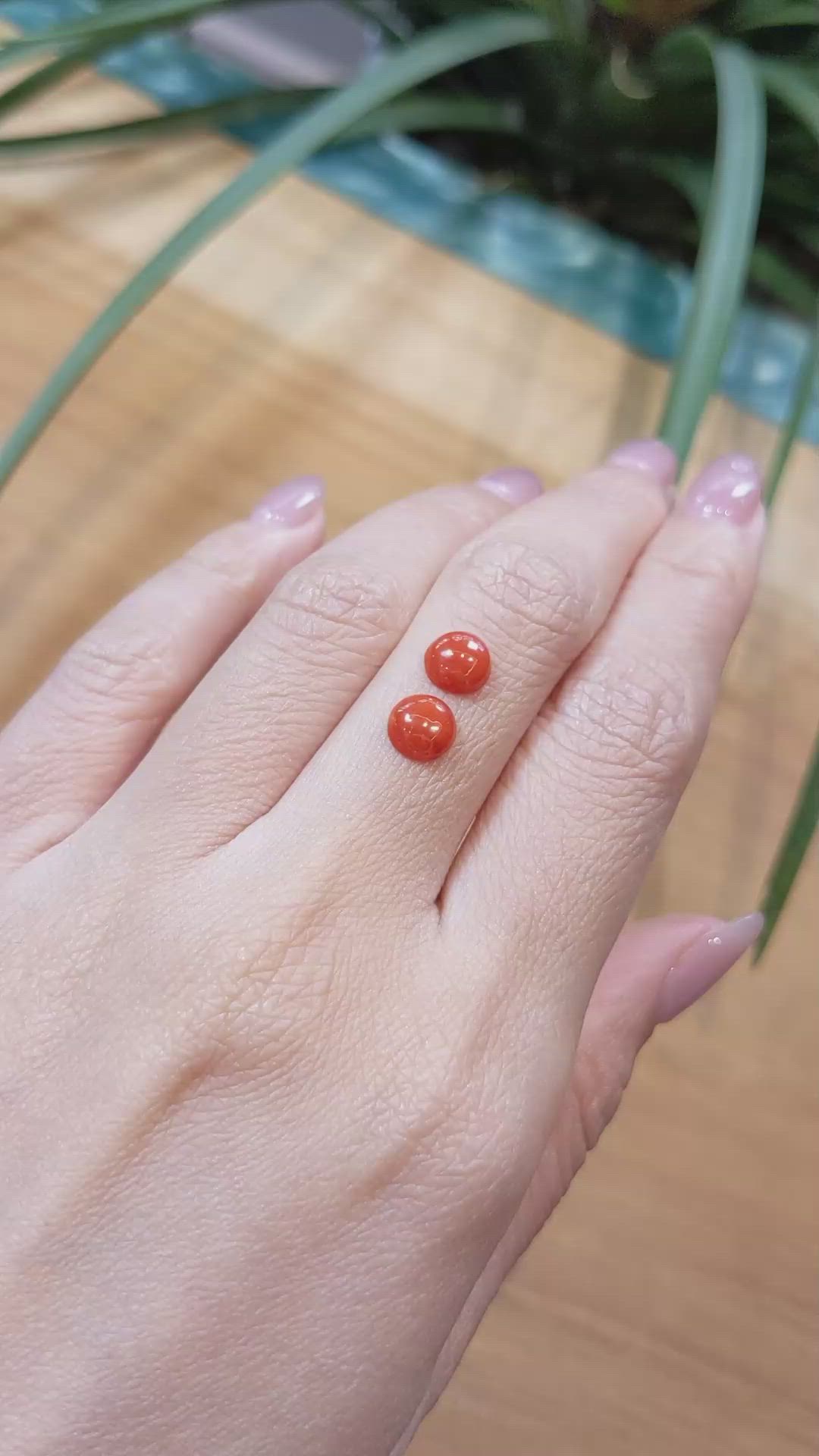 1.62 Ct.Tw.Total Carat Weight Cabochon Coral Pair from Italy Size Video