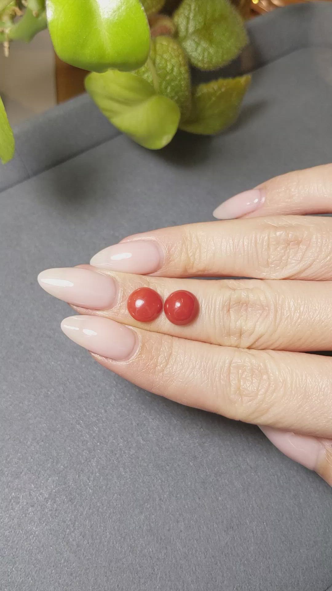 4.49&nbsp;Ct.Tw.Total Carat Weight Cabochon Coral Pair from Italy Size Video