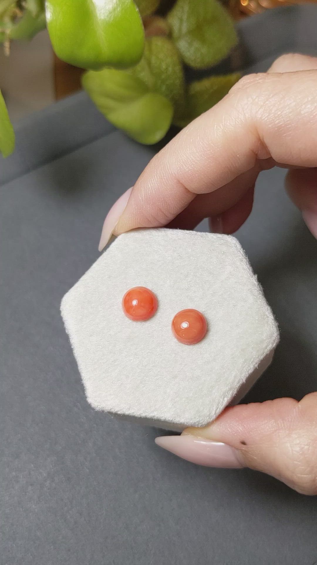 3.83&nbsp;Ct.Tw.Total Carat Weight Cabochon Coral Pair from Italy Size Video