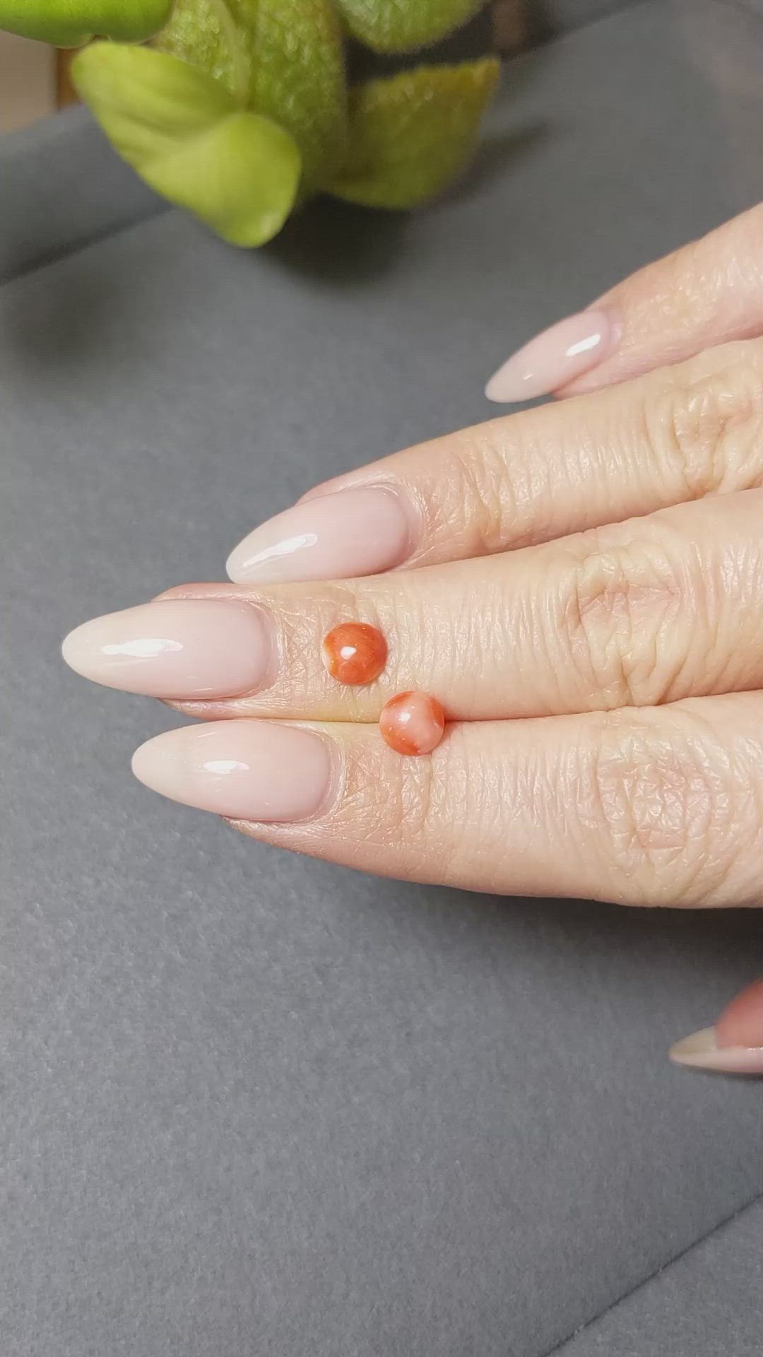 1.07&nbsp;Ct.Tw.Total Carat Weight Cabochon Coral Pair from Italy Size Video